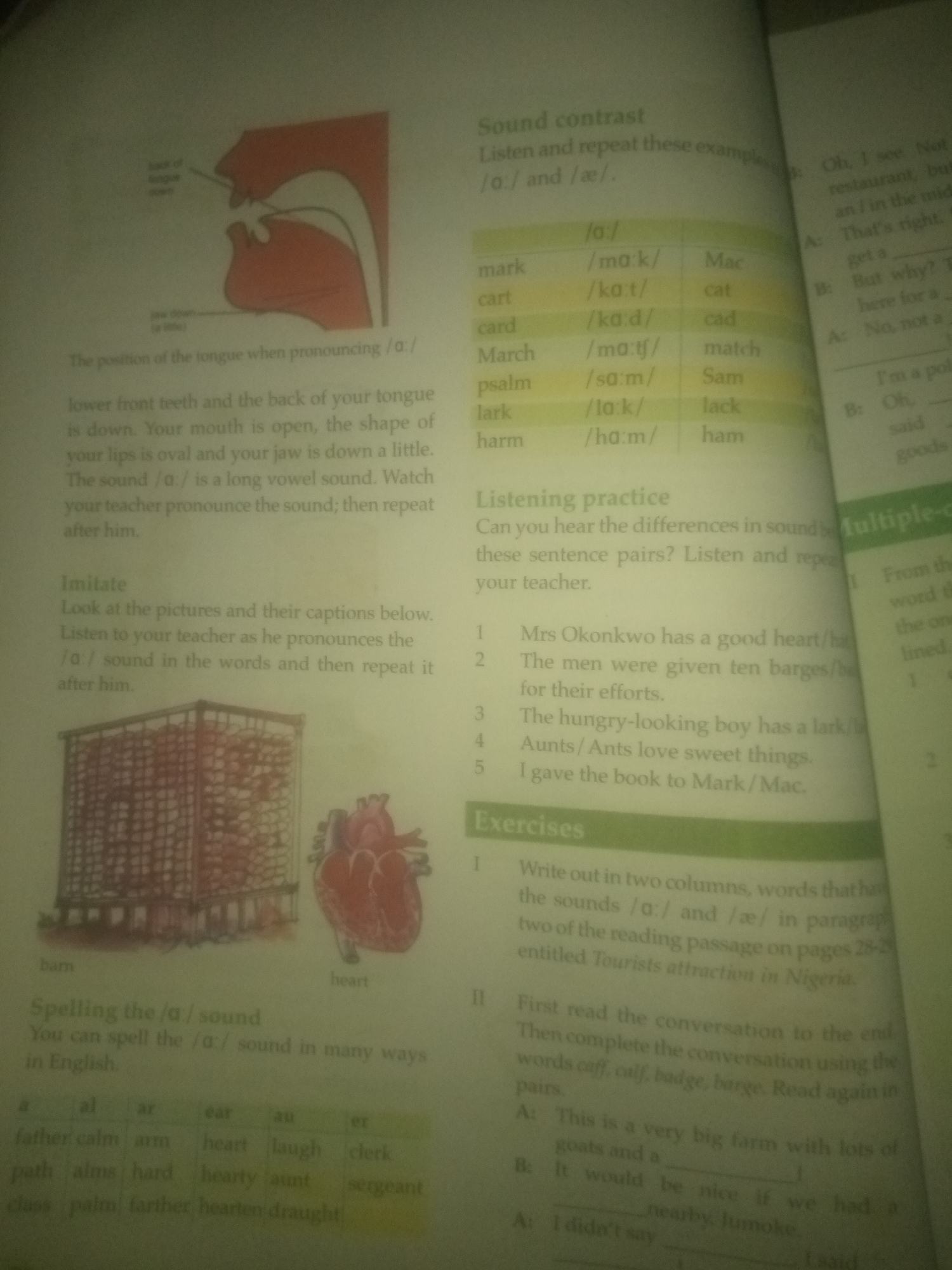 The image shows two pages from a book, likely an English language textbook, detailing pronunciation exercises focused on vowel sounds. The left page features an illustration of the human mouth showing the tongue position for producing the /ɑː/ sound. It also includes sections for practicing this sound with words, examples, and images of a cage and a heart, labeled "barn" and "heart" respectively. Further down, it discusses different spellings of the /ɑː/ sound with corresponding words like "father," "calm," "arm," "heart," "laugh," and "clerk."
The right page contains "Sound contrast" exercises, comparing /ɑː/ with /æ/. It presents lists of words and their phonetic transcriptions, such as "mark /mɑːk/" and "cat /kæt/". There are also "Listening practice" exercises with sentences for students to identify sound differences, and a section labeled "Exercises" with instructions to write words in two columns based on their sounds and to complete a conversation.
The text mentions a "reading passage on pages 28-29 entitled Tourists attraction in Nigeria." There is also a dialogue labeled "A:" and "B:" discussing a "farm with lots of goats" and a "nearby, Lumoke." However, the image does not provide any information or context that would allow for the identification or description of the location in the city of Jauro Yinu, Nigeria. The content is solely educational material.