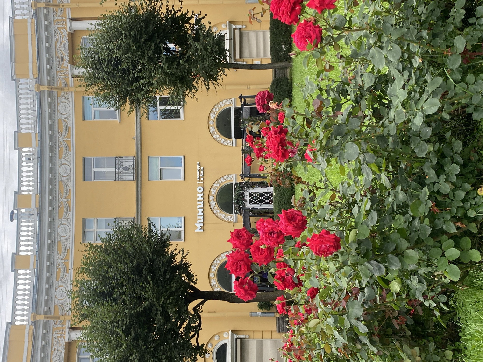 The image depicts a facade of a building in Pushkin, Russia, identified as "Мимино" (Mimino). The building is painted a vibrant yellow and features ornate white architectural details along the roofline and around arched doorways and windows. There are several windows on the upper floors, some with balconies. In the foreground, a lush garden is filled with numerous blooming red roses. Two mature green trees with dense foliage are positioned in front of the building, one on the left and another on the right, partially obscuring the facade. The ground is covered in green grass. There are no people visible in the image. The sky is overcast.