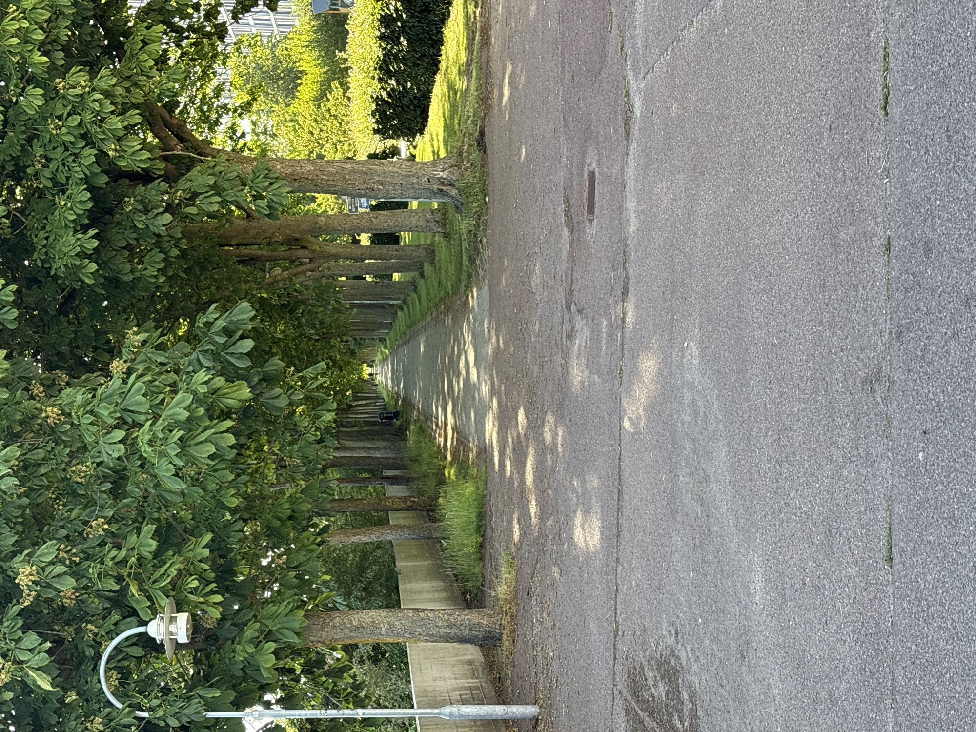 The image depicts a treelined pathway in Søborg, Denmark. A pedestrian path, constructed of asphalt, stretches into the distance, bordered by mature trees on the left and a low concrete wall. The trees, with dense green foliage, create a canopy, casting dappled shadows on the path. On the right side of the path, a neatly trimmed hedge is visible, beyond which are buildings and more trees. A lamppost stands to the left of the path near the foreground. The scene appears tranquil, with no people actively engaged in activity on the path. The overall environment suggests a public park or a well-maintained urban green space.