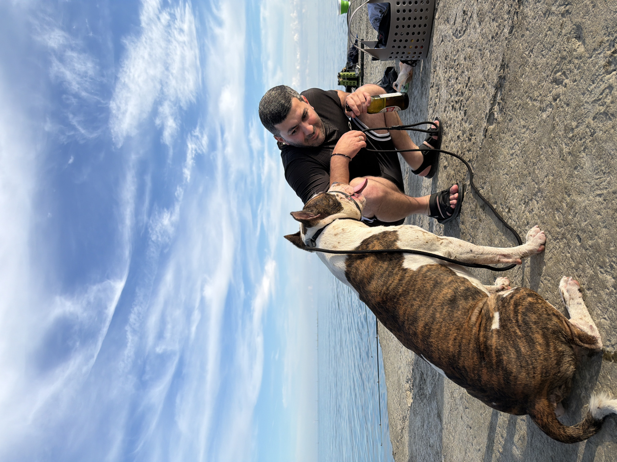 A man is crouching beside a brindle-colored dog on a concrete pier. The man, wearing a black t-shirt and black shorts, holds a bottle of beer in his right hand and appears to be interacting with the dog. The dog is facing the man, with its tongue slightly out. In the background, a body of water stretches to the horizon under a cloudy blue sky. To the right of the man, there are fishing rods, a grey basket, and other miscellaneous items on the pier. The scene appears to be in Dederkoy, Russia, near the sea.