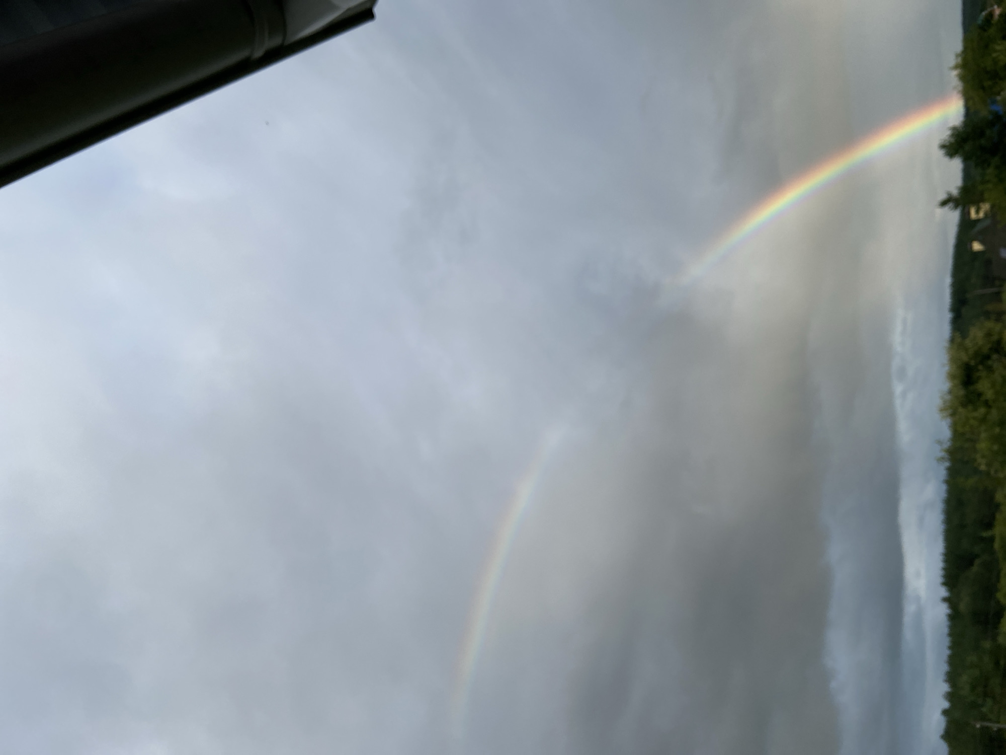 The image captures a double rainbow arcing across a cloudy sky over the city of Novyy Buyan, Russia. The foreground is dominated by a dark green band of trees, with glimpses of rooftops suggesting the presence of houses. In the upper right corner, a portion of a dark-colored gutter is visible, indicating the perspective is from a building. The sky is filled with grey, ominous clouds, characteristic of post-rain weather, which makes the vibrant colors of the double rainbow stand out. There are no people or animals visible in the frame. The overall scene evokes a sense of natural beauty following a period of inclement weather.