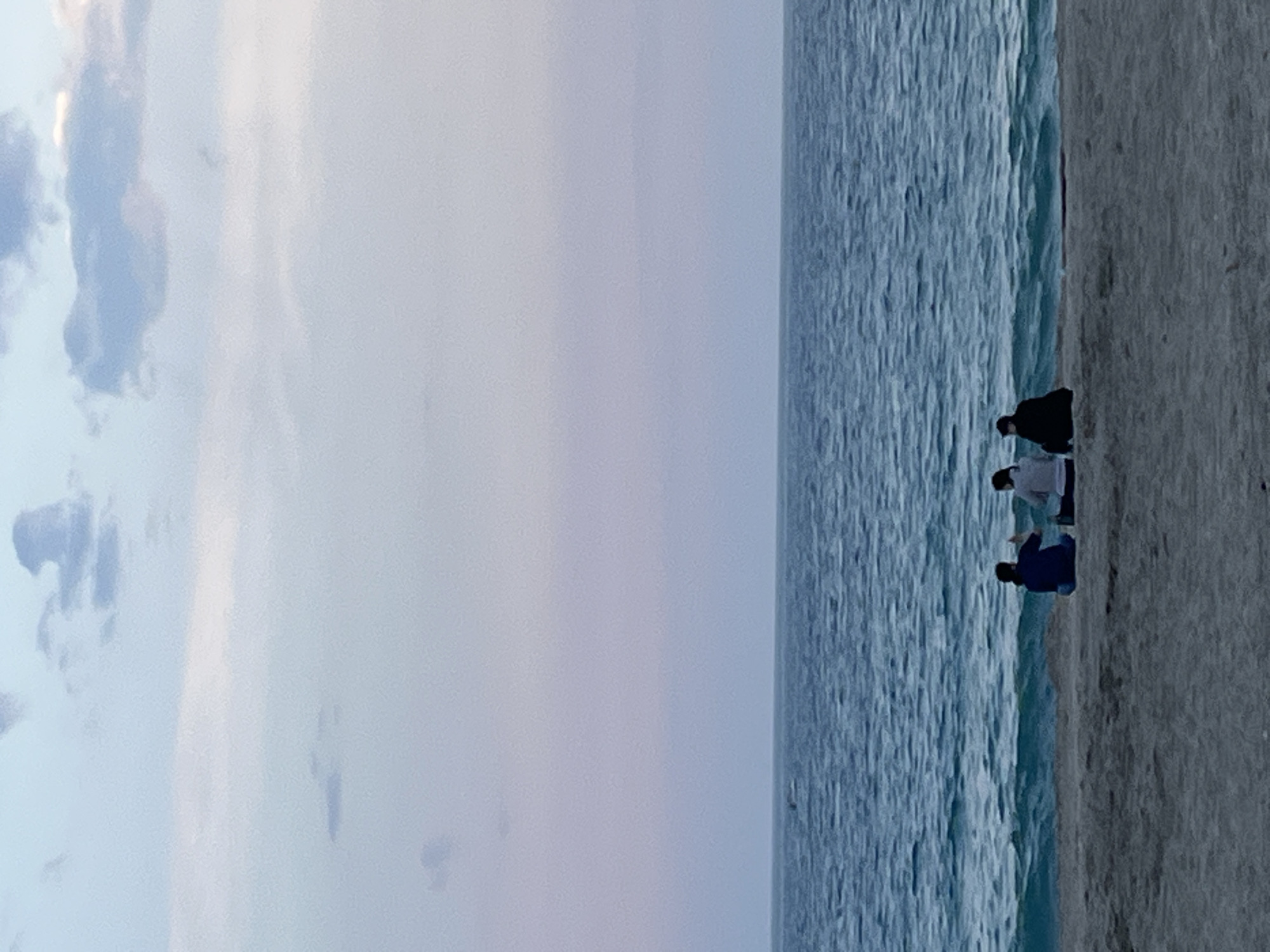 This image, rotated clockwise from its original orientation, captures a serene coastal landscape, likely along the Mediterranean Sea in Alanya, Turkey.
The scene is dominated by a clear horizon line that separates the sky from the sea. In the middle ground, three individuals are positioned on a sandy or pebbled shoreline, standing close to the water's edge. The person furthest to the left (when viewed upright) wears a dark blue top and dark trousers. Next to them, another individual is seen in a light grey top and dark trousers. The third person, to the right, is dressed in a dark, possibly black, jacket or top with dark trousers. They appear to be observing the water or simply standing by the shore, with no distinct activity visible.
The sea, a predominant feature, displays a deep blue-grey color with a textured surface indicating gentle ripples or small waves, suggesting calm conditions. The shoreline, stretching along the bottom right of the upright image, is a muted grey-brown, providing a solid contrast to the water.
The sky occupies the upper portion of the frame, characterized by soft, pale blue and light grey tones, with faint, diffused clouds scattered across. The overall lighting suggests either an early morning or late afternoon, creating a tranquil and understated atmosphere. No text is visible within the image.