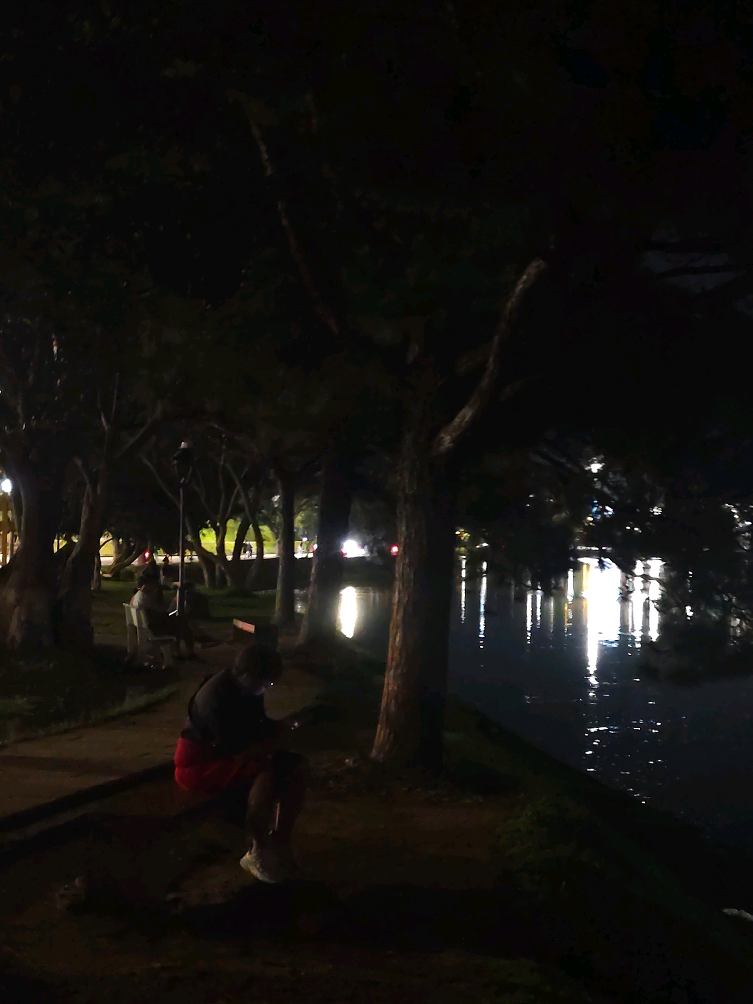 The image depicts a dimly lit park scene at night, likely in Da Lat, Vietnam, beside a body of water. In the foreground, a person sits on a low bench, illuminated by ambient light, with their head bowed, focused on a mobile device. They are wearing a dark top and red shorts, with white sneakers. The person's posture suggests they are engrossed in their phone. Behind this individual, the park's vegetation, primarily trees, forms a dark canopy. In the background, a calm body of water reflects the lights of distant street lamps and possibly buildings, creating streaks of light on its surface. The overall atmosphere is tranquil, with hints of activity from what appears to be a road or pathway further in the background, indicated by diffused lights. The scene is characteristic of a public park in Da Lat, known for its numerous lakes and tree-lined avenues, which are often enjoyed by locals and tourists in the evening.