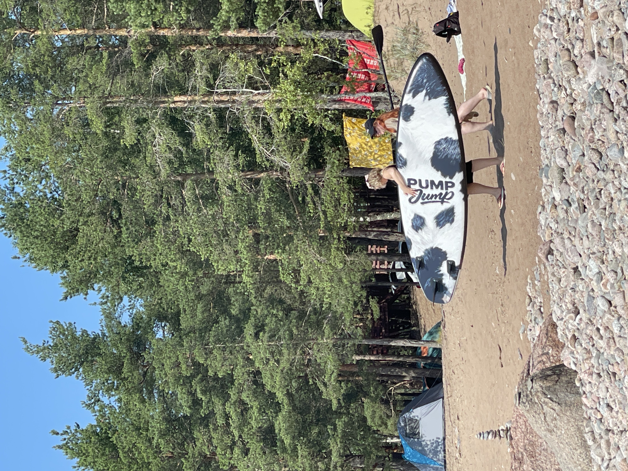 In Luzhki, Russia, on a sandy beach lined with pine trees, two individuals carry a paddleboard with a black and white cow print pattern. The paddleboard has the text "PUMP Jump" on it. One person, wearing sunglasses and a yellow top, holds the front of the board, while the other person, wearing a black cap and a reddish-brown top, holds the back. A paddle is positioned over the paddleboard. In the background, several tents are set up among the trees, suggesting a campsite. The ground in the foreground is covered with a mixture of sand and small, smooth stones. The sky is clear and blue.