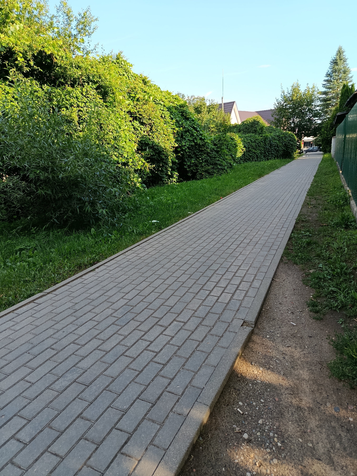 The image depicts a paved walkway in the city of Smilavichi rural council, Belarus. The walkway, made of gray rectangular paving stones, runs diagonally from the lower left to the upper right of the frame, bordered by lush green grass and dense foliage on the left and a dirt path and green fence on the right. In the background, several houses with pitched roofs are visible behind the vegetation, along with a tall evergreen tree and a slender antenna. The sky is clear and blue. The scene appears to be a quiet residential or semi-rural area during daylight hours.