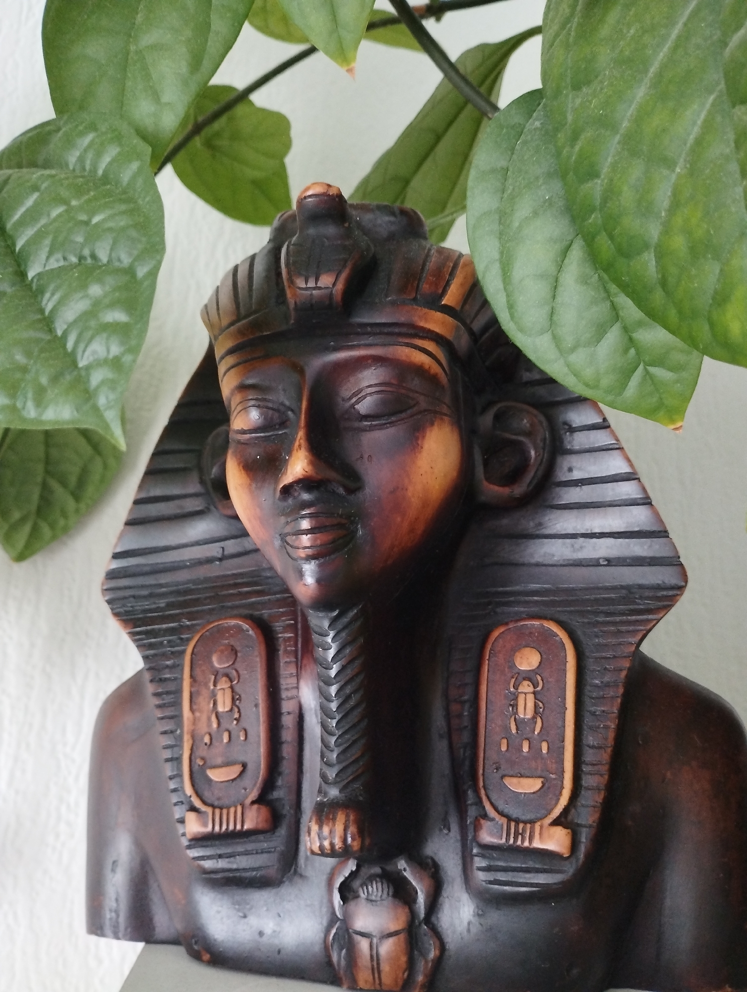 A close-up shot captures a bust of an Egyptian pharaoh, likely a decorative artifact, nestled amongst green foliage against an off-white or light-colored wall. The bust is made of a dark-colored material with tan or brown accents, depicting the pharaoh's head and shoulders. Details include a traditional headdress with a cobra symbol, cartouches with hieroglyphs, and a scarab beetle ornament. The green leaves, possibly from a potted plant, frame the bust, adding a natural element to the composition. The location is Sadovyy, Russia.