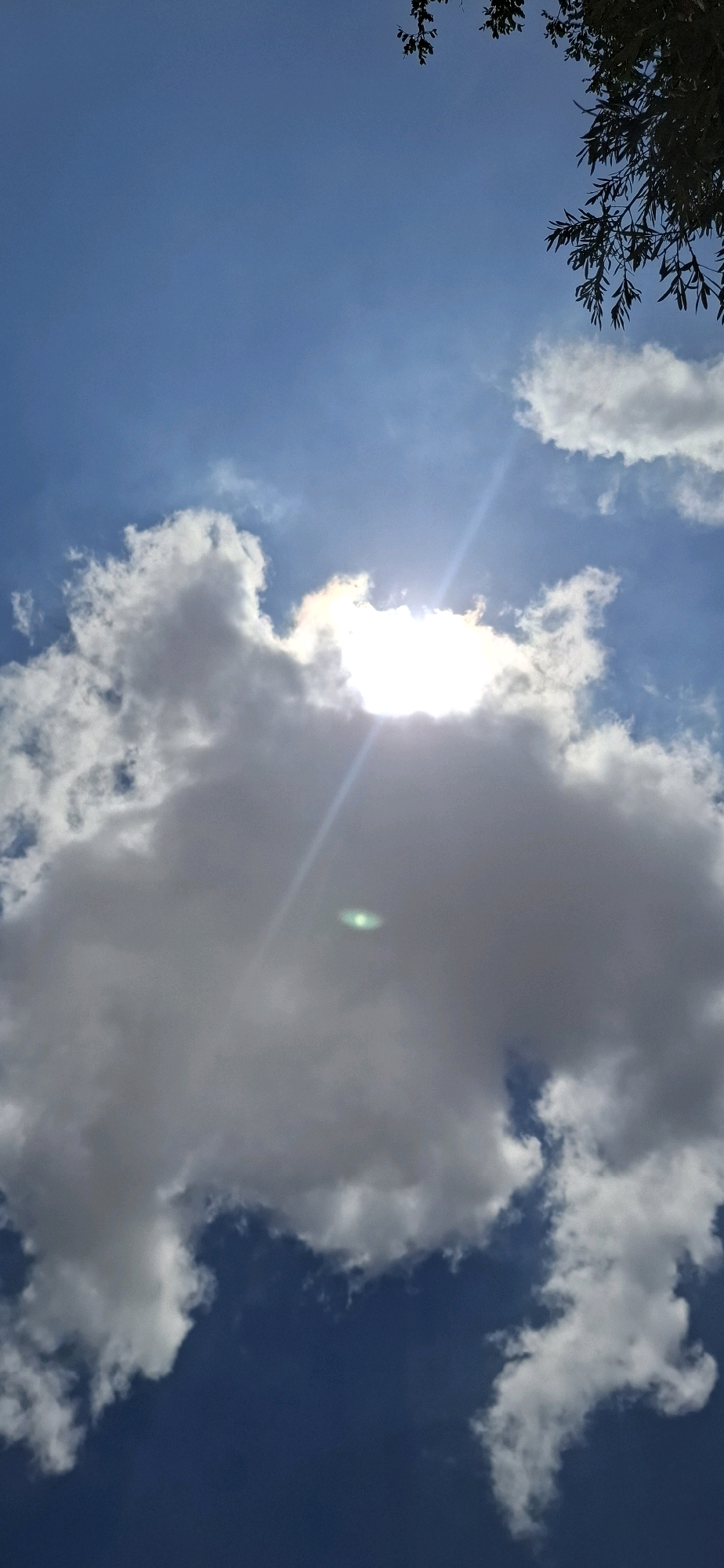 The image captures a bright, sunlit sky with fluffy white clouds, typical of an outdoor environment. The sun is partially obscured by a large cloud in the center, creating a strong lens flare effect with a distinct green halo. In the upper right corner, a tree branch with leaves hangs into the frame, indicating the presence of vegetation nearby. The sky is a clear blue, with some lighter patches suggesting the sun's rays are filtering through. The overall scene depicts a clear and sunny day in an outdoor setting, potentially a park or a residential area in Kiryat Gat, Israel, given the context provided. There are no people or specific urban landmarks visible in the image itself, only natural elements and the sky.