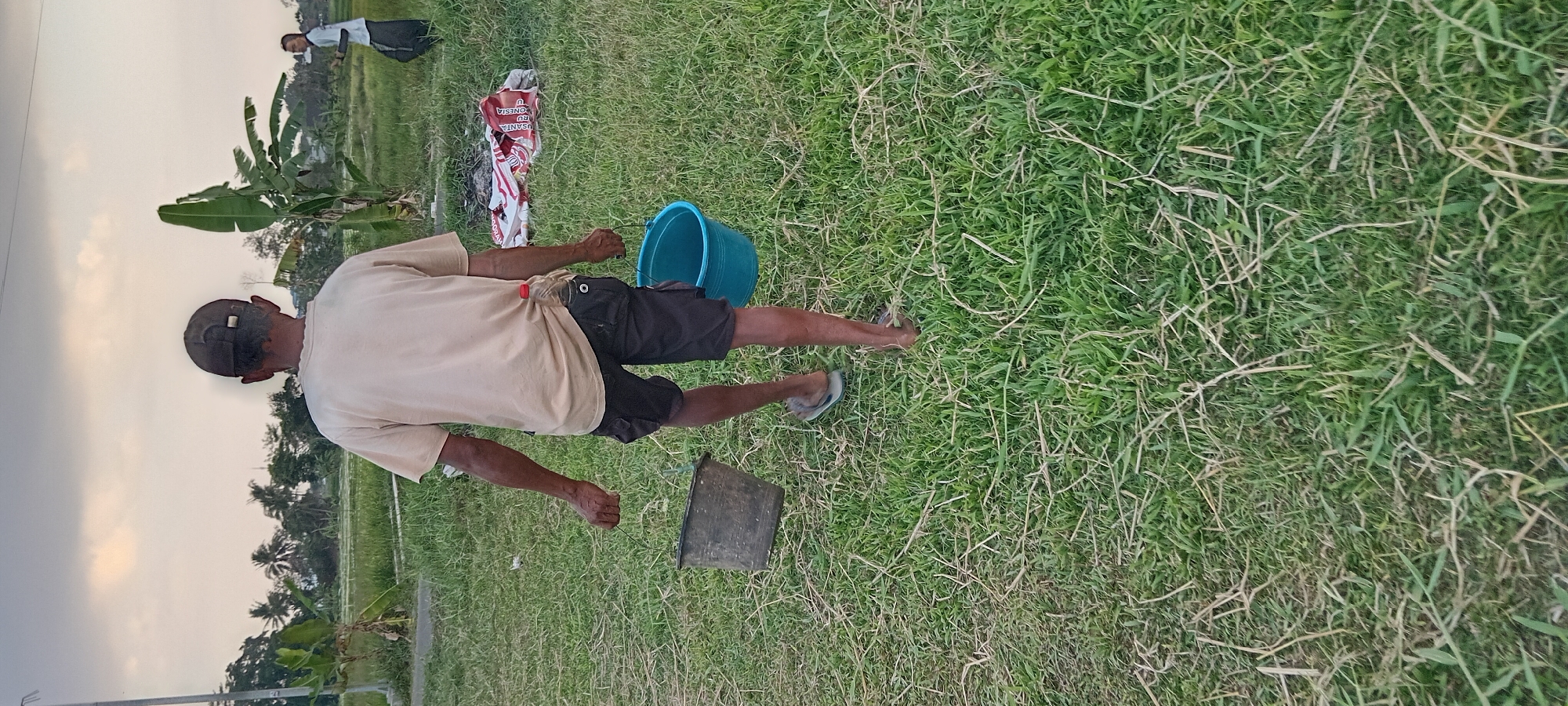 A full, eye-level shot shows a man from behind, walking on grass. The man is wearing a tan t-shirt, dark shorts, and a dark baseball cap. He is carrying a gray bucket in his left hand and a blue bucket in his right hand. A plastic water bottle is tucked into his right back pocket. In the background, a man in a white shirt and dark pants is walking away from the camera. Behind him, a large pile of red and white sacks is visible on the ground. The scene is set in an outdoor environment with green grass and a cloudy sky. This appears to be a rural area with lush vegetation, possibly rice paddies or fields, common in areas like Tasikmalaya, Indonesia, given the presence of banana trees and the overall landscape.