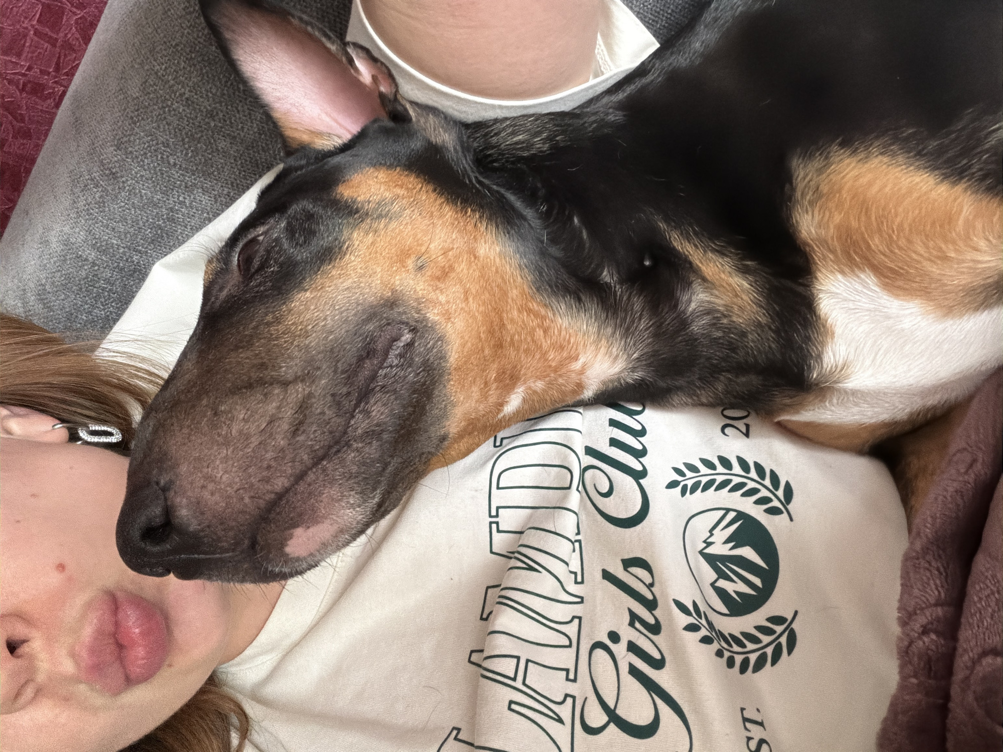 A high-angle, close-up photograph captures a cozy indoor scene featuring a person and a dog, likely in a home in Khimki, Russia. The image emphasizes the affectionate bond between the two subjects.
On the left, the upper portion of a person's face is visible, characterized by fair skin, light brown hair, and a playful "fish lips" expression. A notable detail is a silver-colored, paperclip-shaped earring in their left ear. The person is wearing a white t-shirt. Prominently displayed on the shirt is text in a dark green, stylized font, partially revealing "AND Girls Club". Below this, a circular logo features green mountains flanked by olive branch-like designs. Fragments of "20" and "ST." are also visible, suggesting an "EST. 20XX" date.
Resting comfortably on the person's chest and torso is a tricolored dog. The dog exhibits a sleek coat with distinct black, tan/brown, and white markings. Its head, with long, floppy ears and a dark nose, is positioned close to the person. The dog's eyes appear closed or are looking downwards, indicating a state of rest or sleep.
The person's lower body is covered by grey, textured fabric, possibly pants or a blanket, visible in the upper left of the frame. A reddish-purple blanket or textile adds a soft, warm element to the right side of the composition. The overall impression of the scene is one of peaceful companionship and domestic comfort.