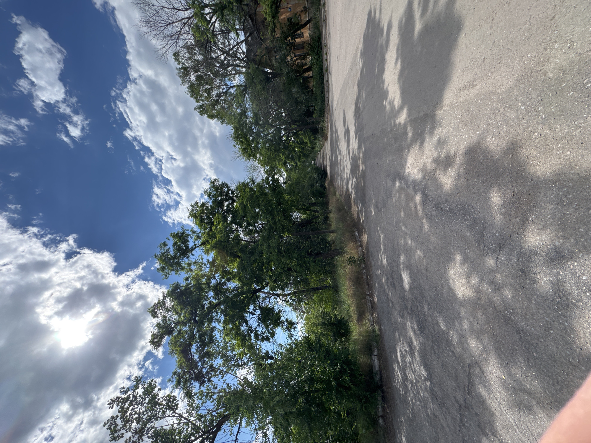 The image depicts an outdoor scene with a paved path on the right and trees and sky on the left. The path appears to be asphalt, with shadows of tree branches cast upon it, suggesting it is daytime and sunny. The trees are lush and green, indicating a warm season. In the background, through the trees, there is a glimpse of a building with windows, possibly made of brick or stone. The sky is a vibrant blue, dotted with fluffy white clouds. The sun is visible, peeking through the clouds and casting a bright light. The perspective is low-angle, looking upwards towards the sky and trees. There are no people or discernible objects in the foreground or on the path. The overall impression is one of a peaceful, natural setting possibly in an urban or suburban area, with a historic architectural element present. The lighting suggests it is mid-morning or early afternoon.