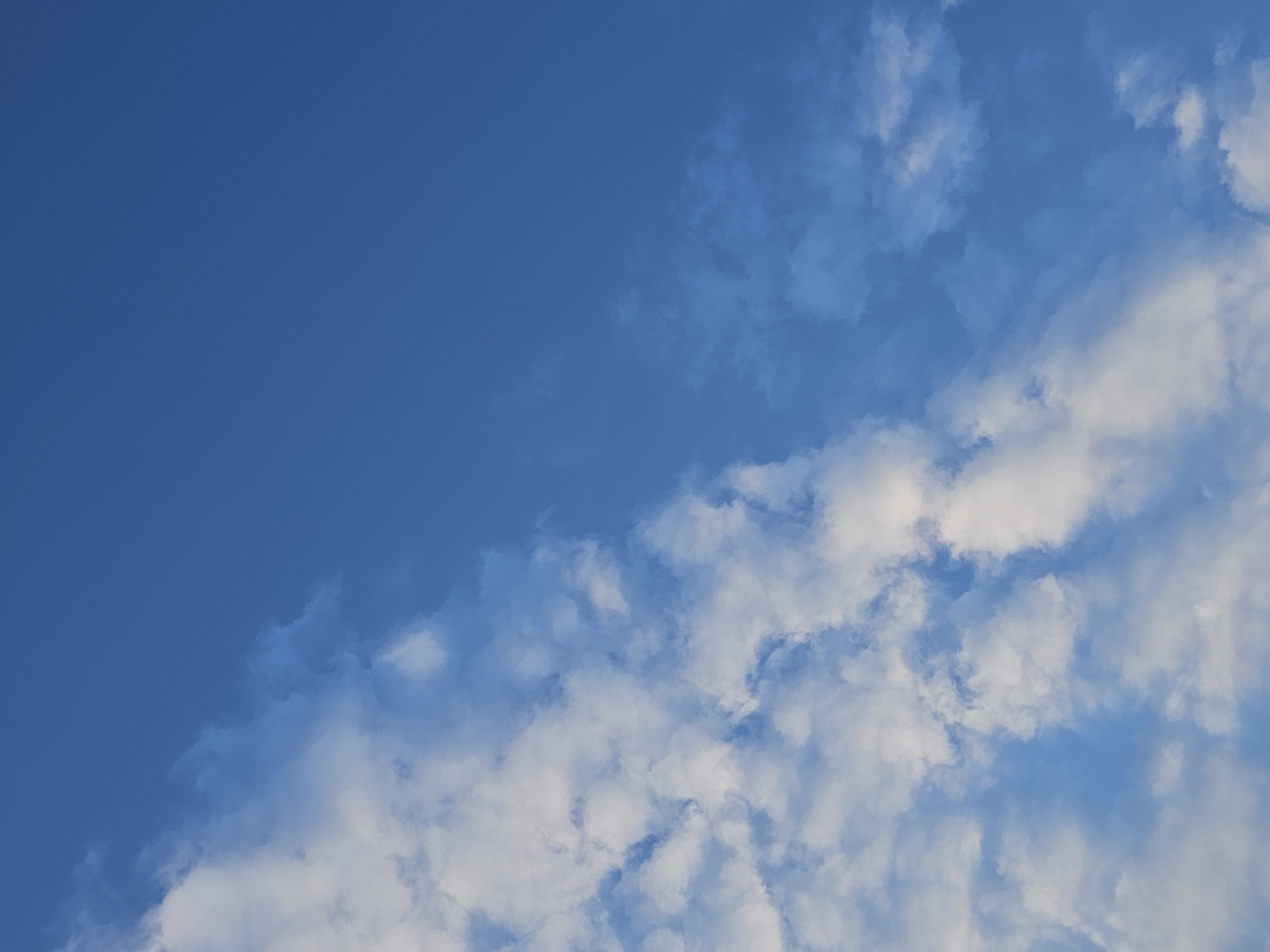 A bright blue sky fills the frame, with a diagonal swath of white, fluffy clouds cutting across the lower left quadrant. The clouds are varied in density, with some areas appearing thin and wispy, while others are more opaque and voluminous. The lighting suggests it is daytime, likely mid-morning or afternoon, given the clarity of the sky and the brightness of the clouds. There are no discernible structures or any signs of human activity or presence in the image. The scene appears to be a natural outdoor environment, specifically an unobstructed view of the sky.