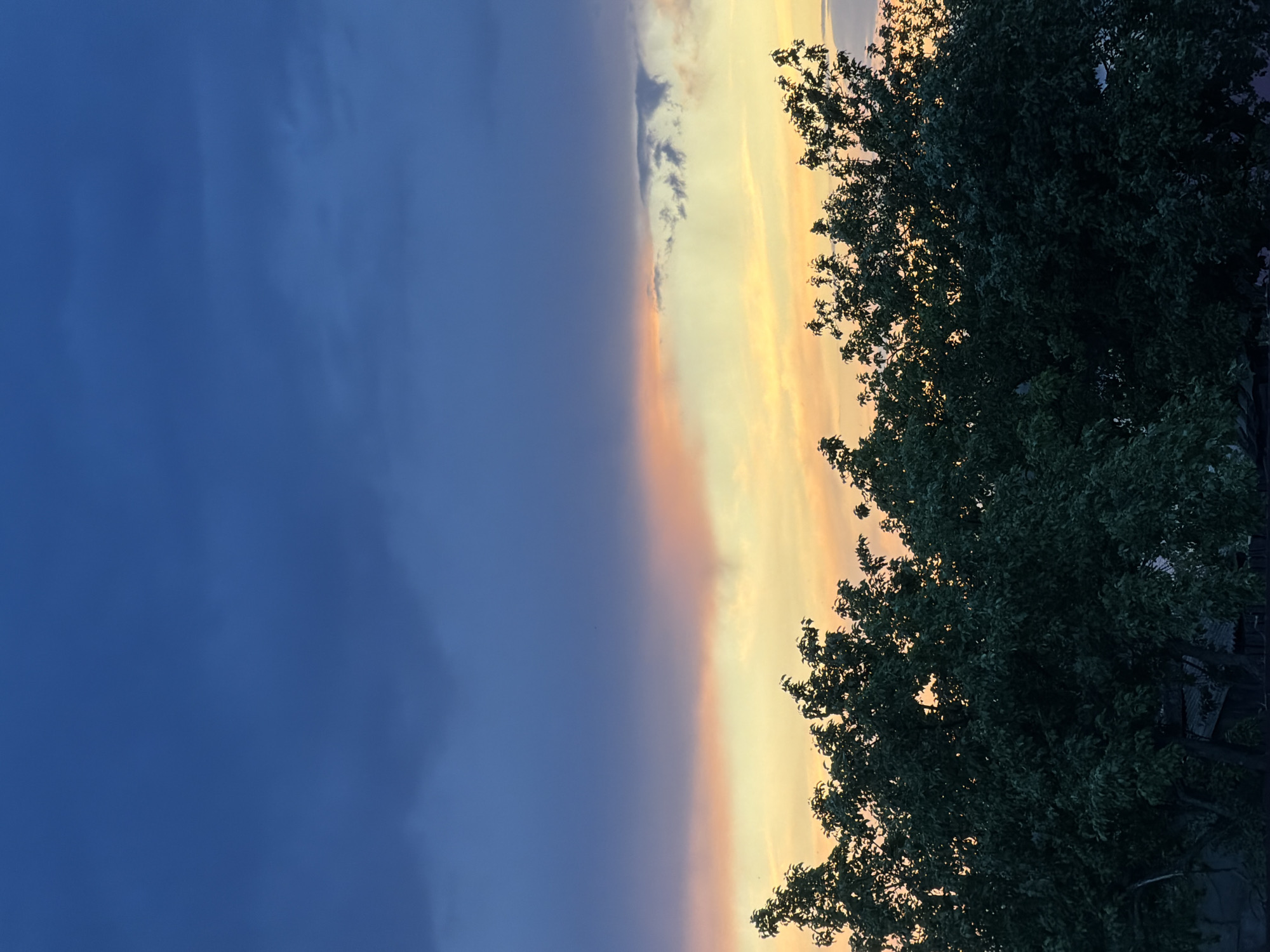 The image depicts a sky at twilight. On the left, a dark blue, overcast sky dominates, transitioning towards the right into lighter hues of orange and yellow suggesting a setting sun or a sunrise. A band of orange and yellow gradients vertically through the center of the image, separating the darker clouds. In the right foreground, a silhouetted tree with dense foliage obscures part of the colorful sky. There is no information present in the image to allow for the determination of the location in the city of Chaikovsky, Russia. No people, subjects, objects, actions, or interactions are visible. The environment consists of the sky and a tree.