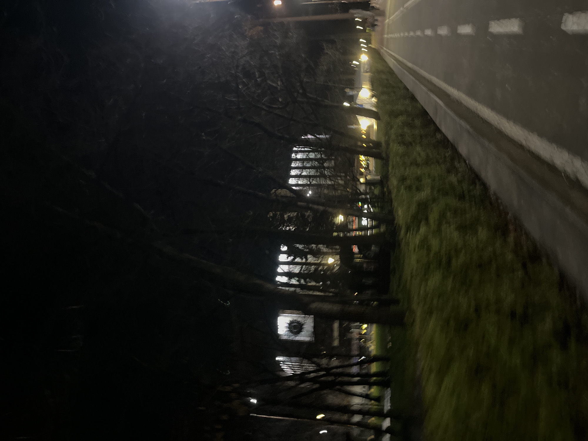 A nighttime scene shows a road with white lane markings, bordered by a strip of green vegetation. On the left side of the road, there are trees with bare branches. Beyond the trees, illuminated buildings can be seen, suggesting an urban area. The overall scene appears to be taken in an urban setting, possibly along a street lined with trees and buildings. Based on the streetlights, road and building style, the image might be from Sofia, Bulgaria.