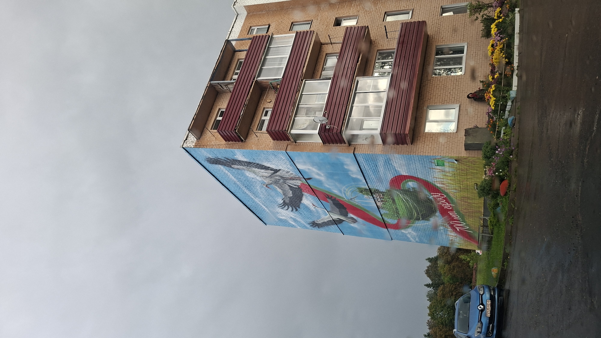 In Myadzyel, Belarus, a multi-story brick apartment building features a large mural on its side. The mural depicts two storks in flight against a bright blue sky with white clouds. One stork is larger and in the foreground, with its wings spread wide, while the other, smaller stork is positioned behind and below it. A red, ribbon-like shape curls up from the bottom of the mural, forming a loop that the storks appear to be flying around or towards. At the bottom of the mural, the text "700 лет городу" (700 years of the city) is visible in a cursive font.
The building itself has balconies with dark red railings and glass enclosures on multiple floors. The brickwork is a light brown or beige color. Below the mural and to the right of the building, there is a flowerbed filled with yellow and purple chrysanthemums. A person is sitting on a low wall in front of the flowerbed, facing the building.
In front of the building, on the left side of the image, a blue hatchback car is parked on a wet asphalt surface, suggesting recent rain. The sky is overcast and grey. Trees and foliage are visible in the background, beyond the apartment building. The ground in front of the building and the road are wet.