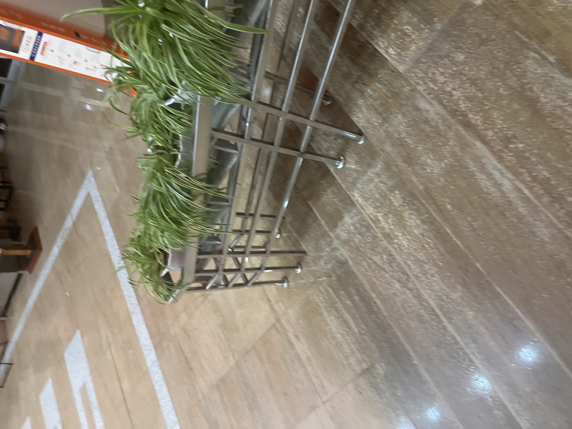 A high-angle shot shows an indoor space with a beige tiled floor. A stainless steel cart or trolley holding a potted green plant is centered. A white stripe extends from the left edge of the image towards the upper center, potentially marking a walkway or path on the floor. The background floor has a glossy, patterned appearance. The location is presumably indoors in Changchun City, China.