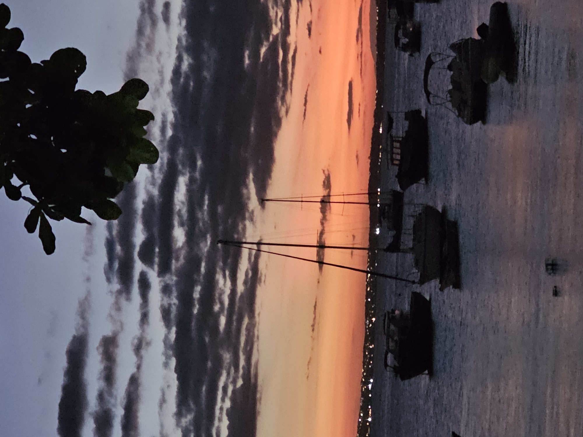 The image shows a waterscape at sunset in Armação Dos Búzios, Brazil. In the foreground to the left, a tree branch with leaves is silhouetted. The sky transitions from dark clouds on the left to shades of orange in the middle, indicating a sunset. Several sailboats are visible on the water, their masts pointing upwards. Lights, likely from buildings along the shore, are seen in the distance to the right.