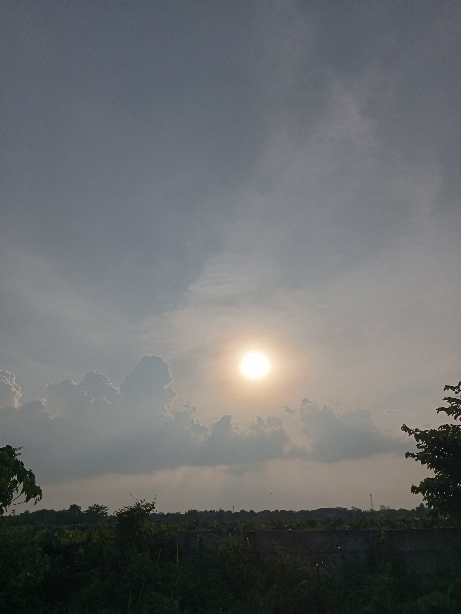 The image depicts a cloudy sky with the sun visible as a bright orb in the upper center, partially obscured by clouds. The lower portion of the image shows a dense landscape of green vegetation, including trees and bushes, with a concrete wall running horizontally across the middle ground. In the distance, a line of trees and some structures are visible against the horizon. The overall scene suggests an outdoor environment, possibly a rural or semi-rural area, with natural elements dominating the foreground and midground. No people or specific landmarks identifying Teluk Kenidai, Indonesia are discernible in this image.