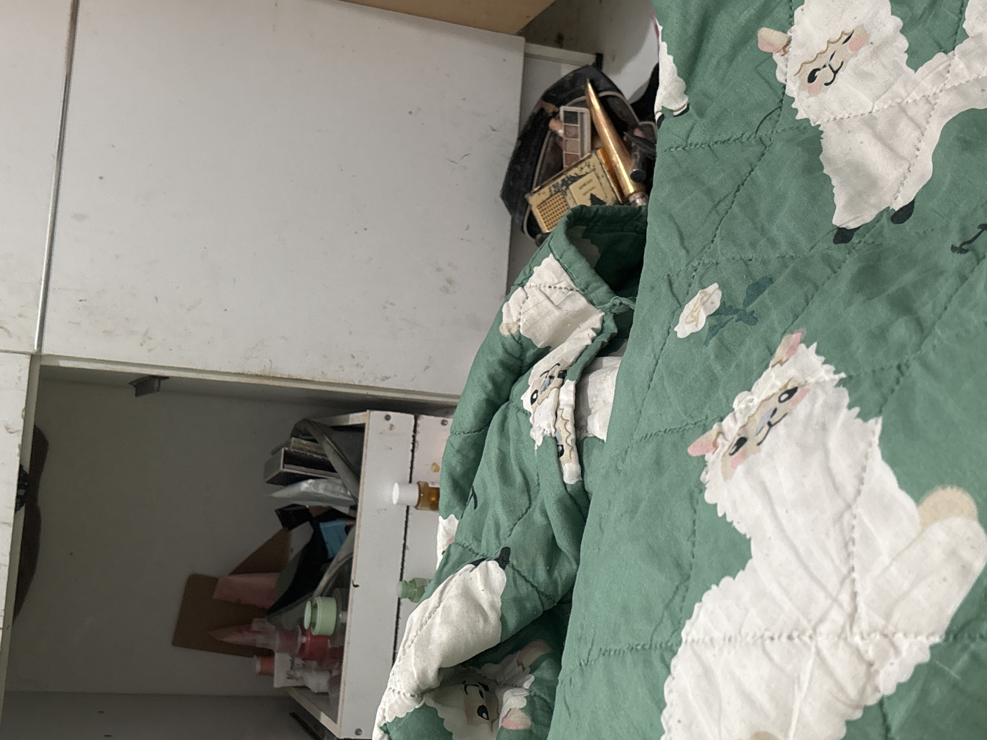 The image depicts a disorganized storage area, possibly a closet or cabinet, in a bedroom setting. In the foreground, a green quilt with a white sheep pattern is spread out, covering part of the floor and a surface. Behind the quilt, the interior of the storage area is visible. It contains various items, including bottles of cosmetics, makeup products, and what appears to be a makeup bag filled with cosmetics. The shelves and surfaces within the storage area show signs of dust and disarray. The overall impression is one of a personal space that is cluttered and not meticulously maintained. The location is specified as North Jakarta, Indonesia, suggesting this scene is from a residential interior in that area.