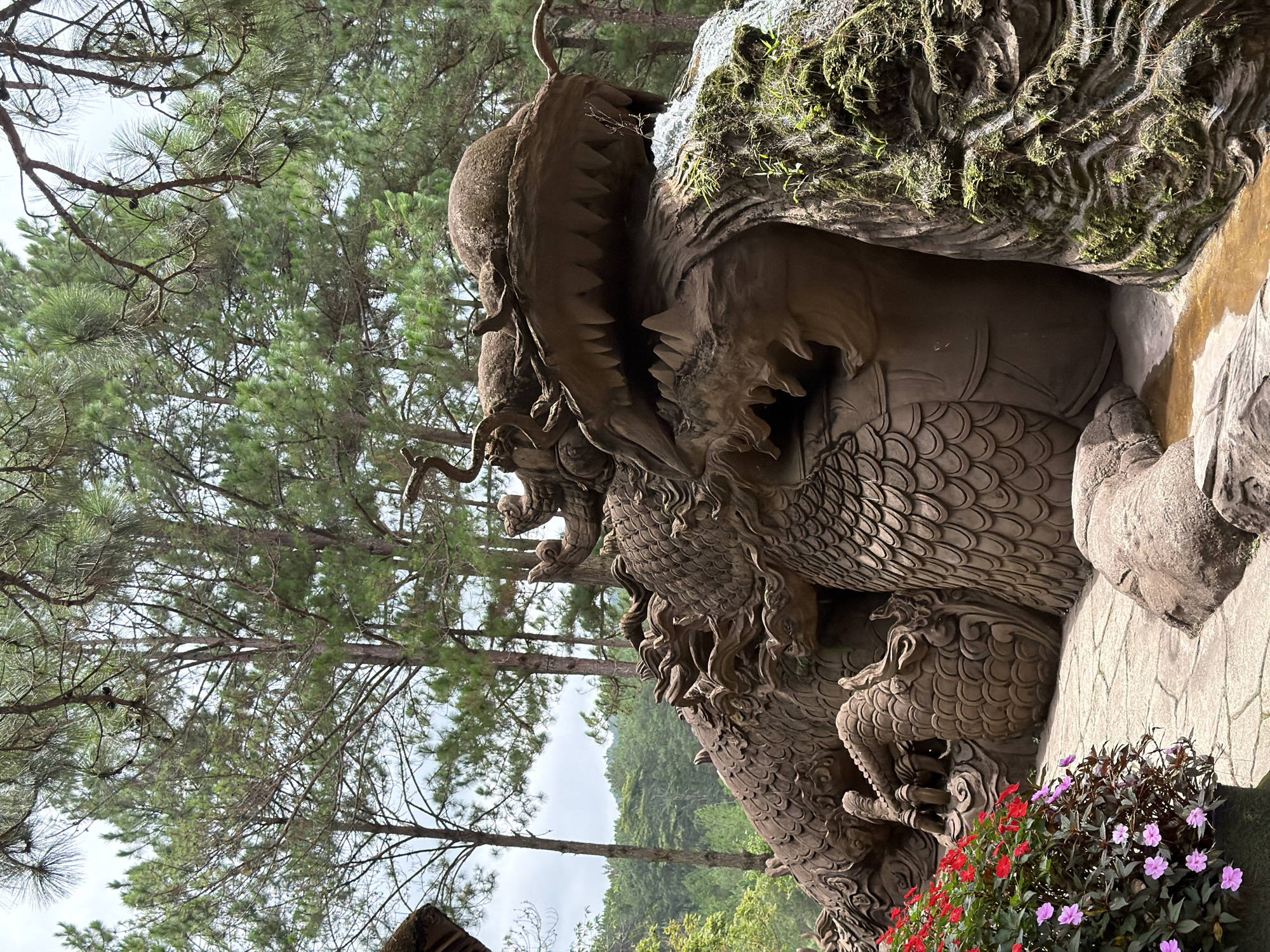 The image depicts a large, intricately carved dragon sculpture made of dark, earthy material, likely clay or stone, set amidst a natural, outdoor environment. The dragon is shown in profile, with its head prominently featured. Its mouth is open, revealing sharp teeth, and its body is covered in detailed scales. Parts of the sculpture appear to be integrated with natural rock formations covered in moss and vegetation, and there's a small stream of water flowing near the dragon's mouth. In the foreground, to the left, a planter filled with vibrant red and pink flowers adds a splash of color. The background is dominated by tall pine trees, characteristic of the cooler climate of Da Lat, Vietnam. The ground is paved with stone tiles, creating a walkway. The lighting suggests it is daytime, with a slightly overcast sky visible through the trees. The overall scene evokes a sense of natural beauty and artistic craftsmanship. This sculpture is likely located at Thien Vien Truc Lam, a prominent Zen Buddhist monastery and tourist attraction in Da Lat, known for its beautiful gardens and architecture, which often feature symbolic sculptures.