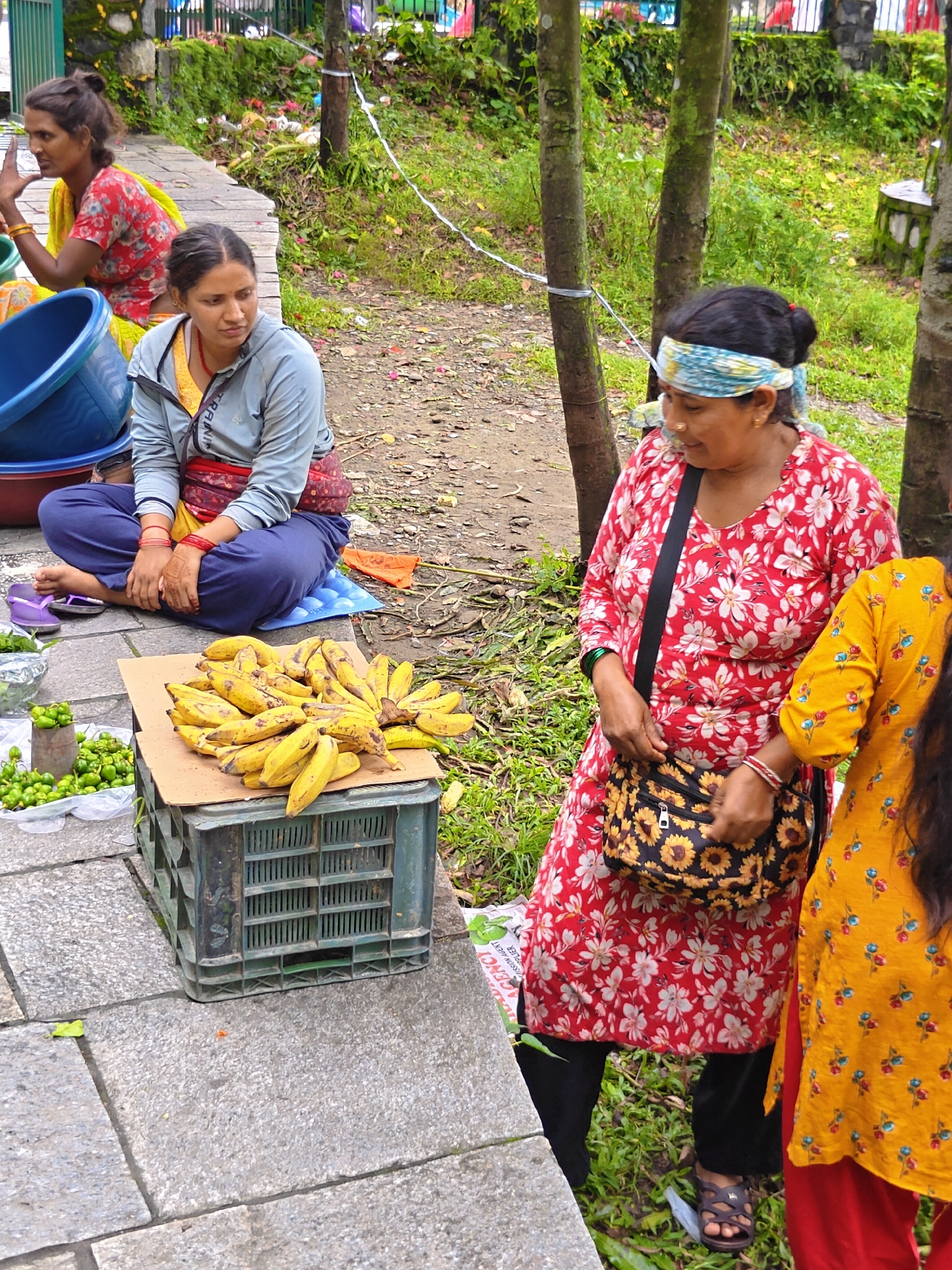 In Pokhara, Nepal, three women are depicted in a street scene. In the foreground, a woman wearing a red floral dress and a sunflower-patterned crossbody bag is standing. To her right, another woman in a yellow floral top and red pants is partially visible. To the left and further back, a woman in a grey hooded jacket and blue pants is seated on a mat, with a pile of bananas in front of her on a green plastic crate. Next to the seated woman are blue plastic buckets and a small pile of green chilies. The background shows trees, vegetation, and a fence. The overall setting appears to be a marketplace or roadside stall.