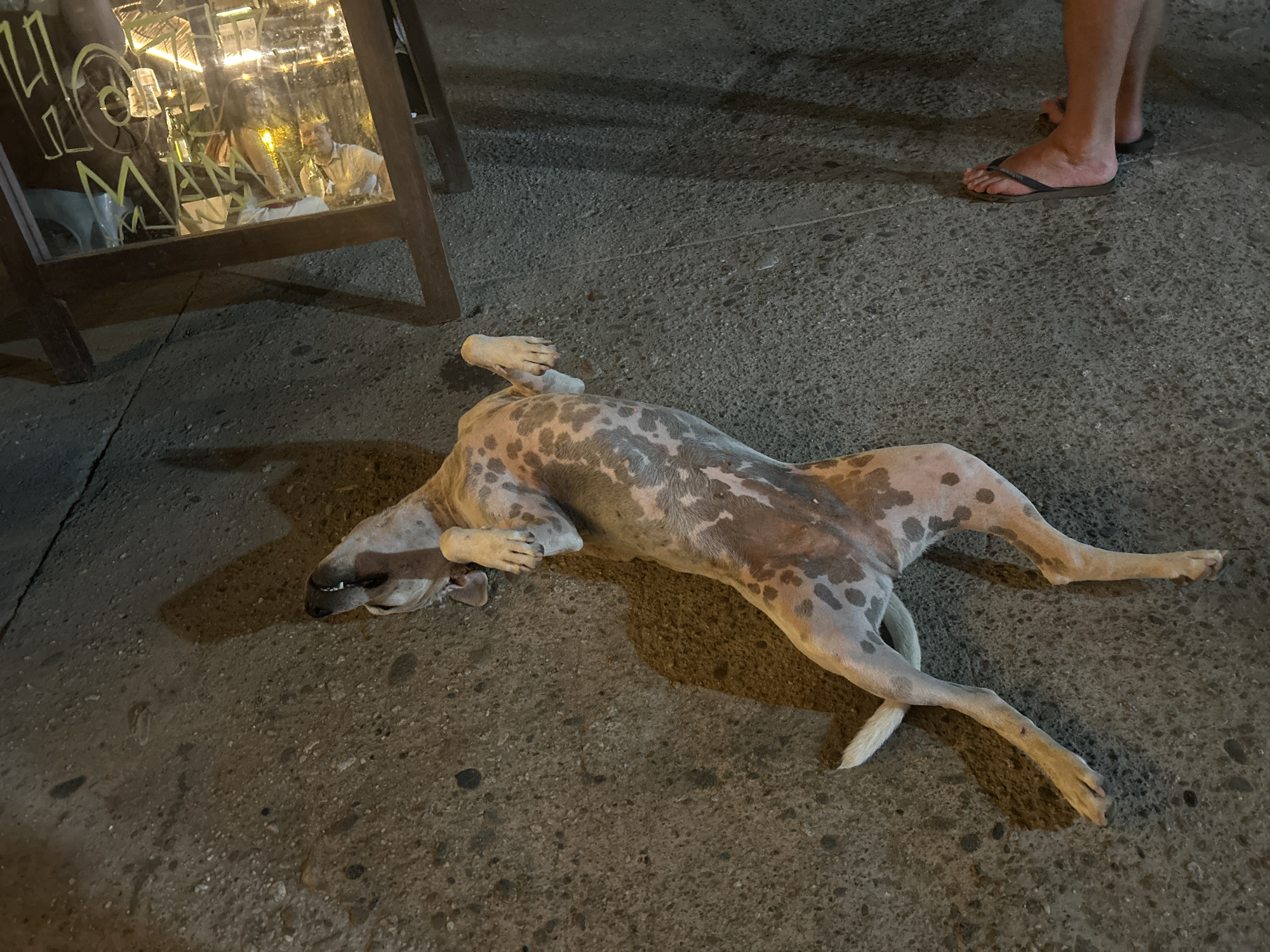 A dog, light-colored with dark spots, lies on its back on a paved surface. The dog’s legs are extended at various angles, and its head is resting on the pavement. To the left of the dog is a wooden frame with a sign or display inside. In the upper right corner, two feet wearing flip-flops are visible. The scene appears to be in an urban setting, specifically Brisas de Zicatela, Mexico, based on location cues. The time is nighttime or low light conditions.