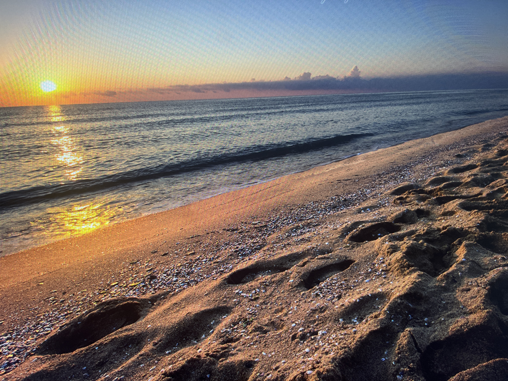 The image shows a serene beach scene at sunrise, likely taken in Varna, Bulgaria, given the context provided. The sun is a bright orb on the horizon, casting a warm, golden glow across the water and sand. Gentle waves lap at the shore, creating a reflective surface that mirrors the vibrant sky. The foreground is dominated by a sandy beach littered with small shells and footprints, indicating recent human activity. The overall atmosphere is peaceful and tranquil, capturing the beauty of a new day dawning over the Black Sea.