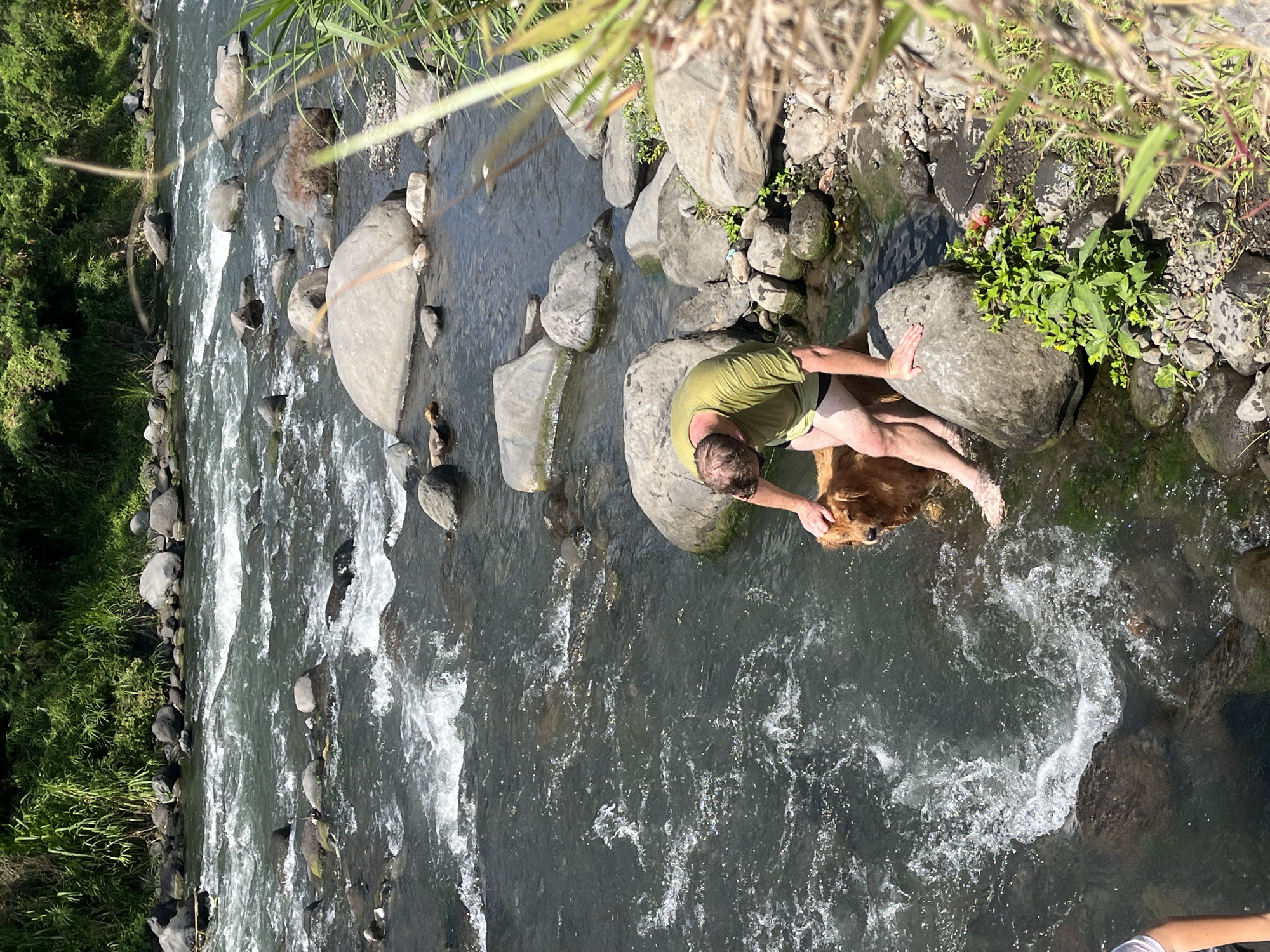 A man in a green t-shirt and black shorts is with a golden retriever in a rocky river. The man is kneeling on the bank, with his left hand on a large boulder and his right hand gently petting the dog. The dog is standing in the shallow water, looking towards the man. The river has fast-flowing water with white rapids and is surrounded by lush green vegetation on the bank. The scene appears to be a natural outdoor environment, likely a river in a tropical region, given the foliage.