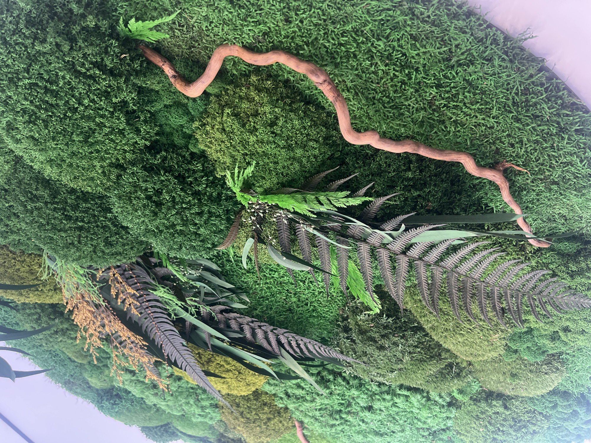 The image shows a close-up, top-down view of a wall covered in various types of preserved moss and artificial plants, resembling a natural forest floor. A twisted, light brown branch snakes across the green mossy surface. Several types of fern-like plants are interspersed among the moss, some with feathery fronds in shades of green and dark brown. There are also some delicate, golden-brown seed-like sprigs. The textures of the moss vary, creating a rich, undulating tapestry of greens, from bright lime to deep forest green. The overall impression is that of a vibrant, textured natural display, possibly an indoor installation or decoration, designed to mimic a woodland environment. There is no visible text, people, or indication of time of day or weather conditions. The location context provided is "Minsk, Russia," though there are no explicit visual cues within the image to confirm this.