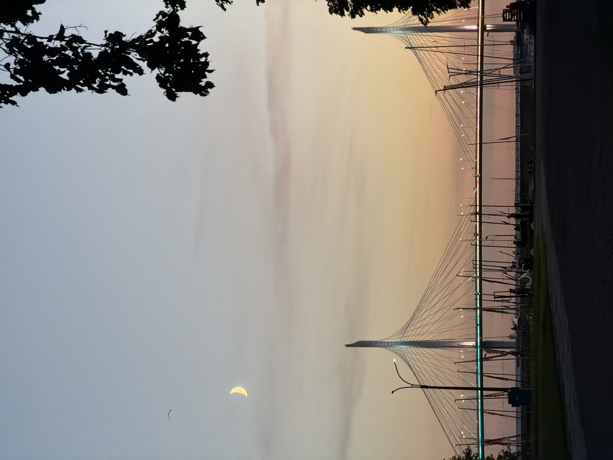 The image depicts the Big Obukhov Bridge, also known as the Vantovy Bridge, spanning the Neva River in Saint Petersburg, Russia, during twilight. The sky displays a gradient of pale blue at the top to soft orange and pink hues near the horizon, with a crescent moon visible in the upper left quadrant. A lone bird is in flight in the sky. Silhouetted against the colorful sky are the bridge's two towering pylons and its suspension cables, illuminated by soft lights. The deck of the bridge is also lit with blue and white lights. In the foreground, the scene is dominated by a dark foreground which appears to be a road or pathway. Beyond the road, there is a grassy area with several vertical poles that appear to be part of a marina or docking area, possibly for sailboats. Several people are visible as dark silhouettes in this area, some standing and some near what appear to be scooters or bicycles. The dark silhouette of tree branches hangs from the upper right corner of the frame, framing the sky and bridge. The overall atmosphere is serene and captures the transition from day to night over the iconic Saint Petersburg landmark.
