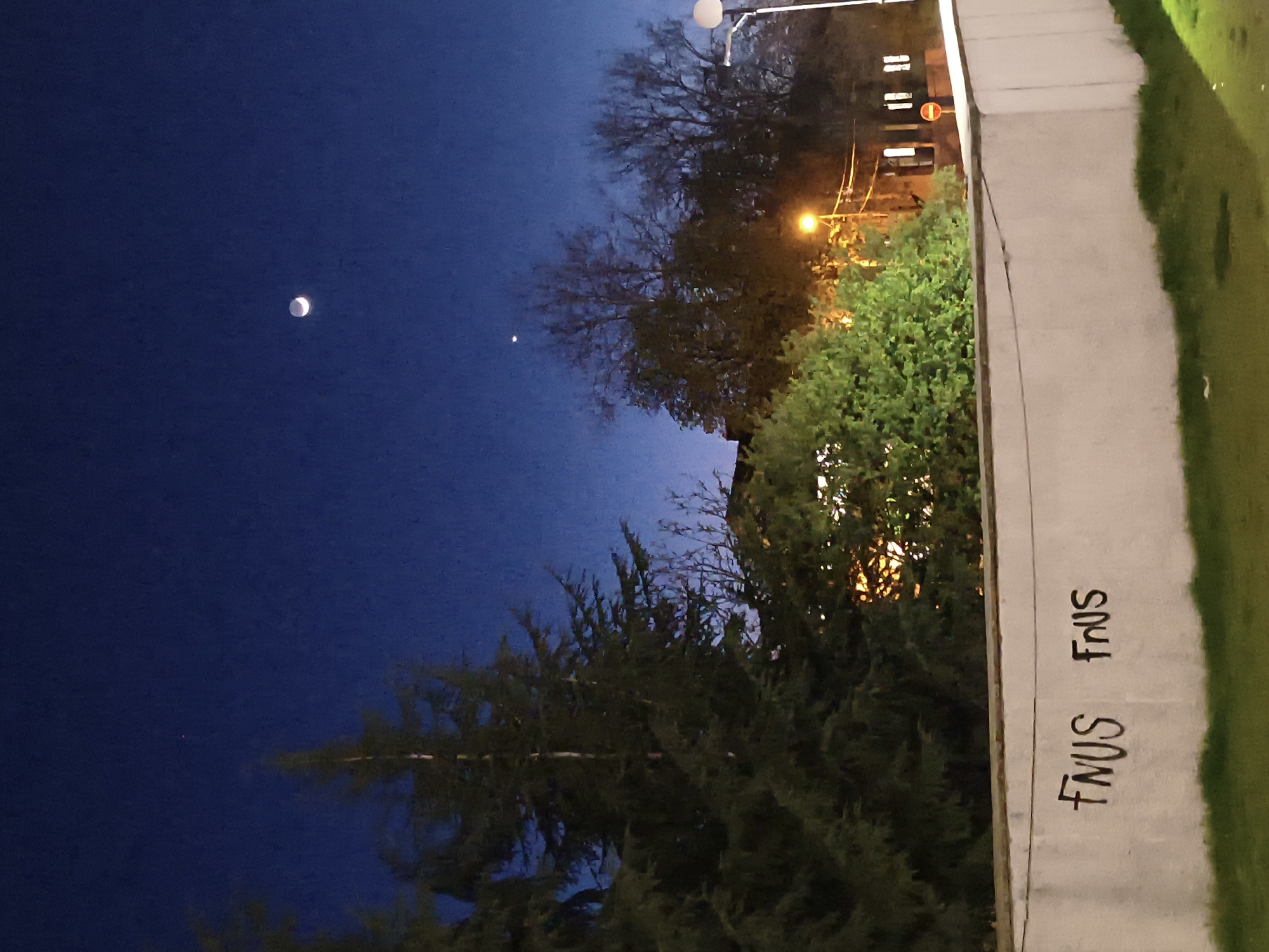 The image shows a night scene in Sofia, Bulgaria. In the dark blue sky, a crescent moon is visible, along with a bright star. A mixture of evergreen and deciduous trees are present, illuminated by a street lamp. A concrete wall runs along the right side of the image, displaying the graffiti "FNUS FNUS". Beyond the trees, streetlights and buildings are visible.