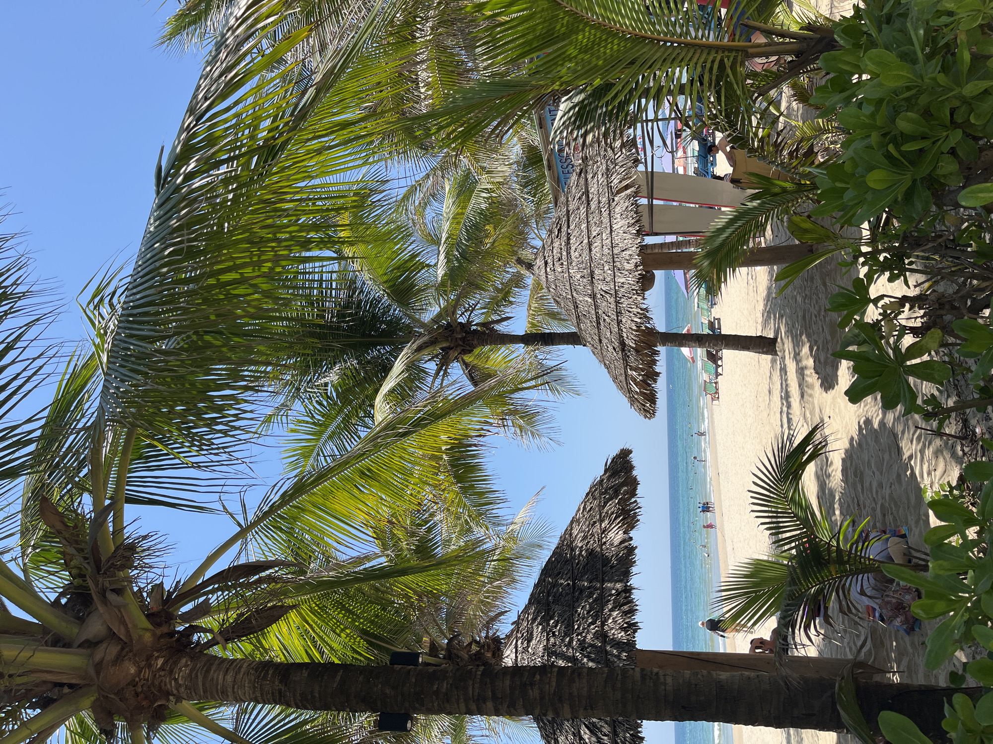 The image depicts a beach scene in Đà Nẵng, Vietnam. Palm trees frame the view, with thatched umbrellas providing shade on the sandy beach. People are present on the beach, some swimming in the ocean. Vegetation is visible on the right side of the frame. The sky is clear and blue.