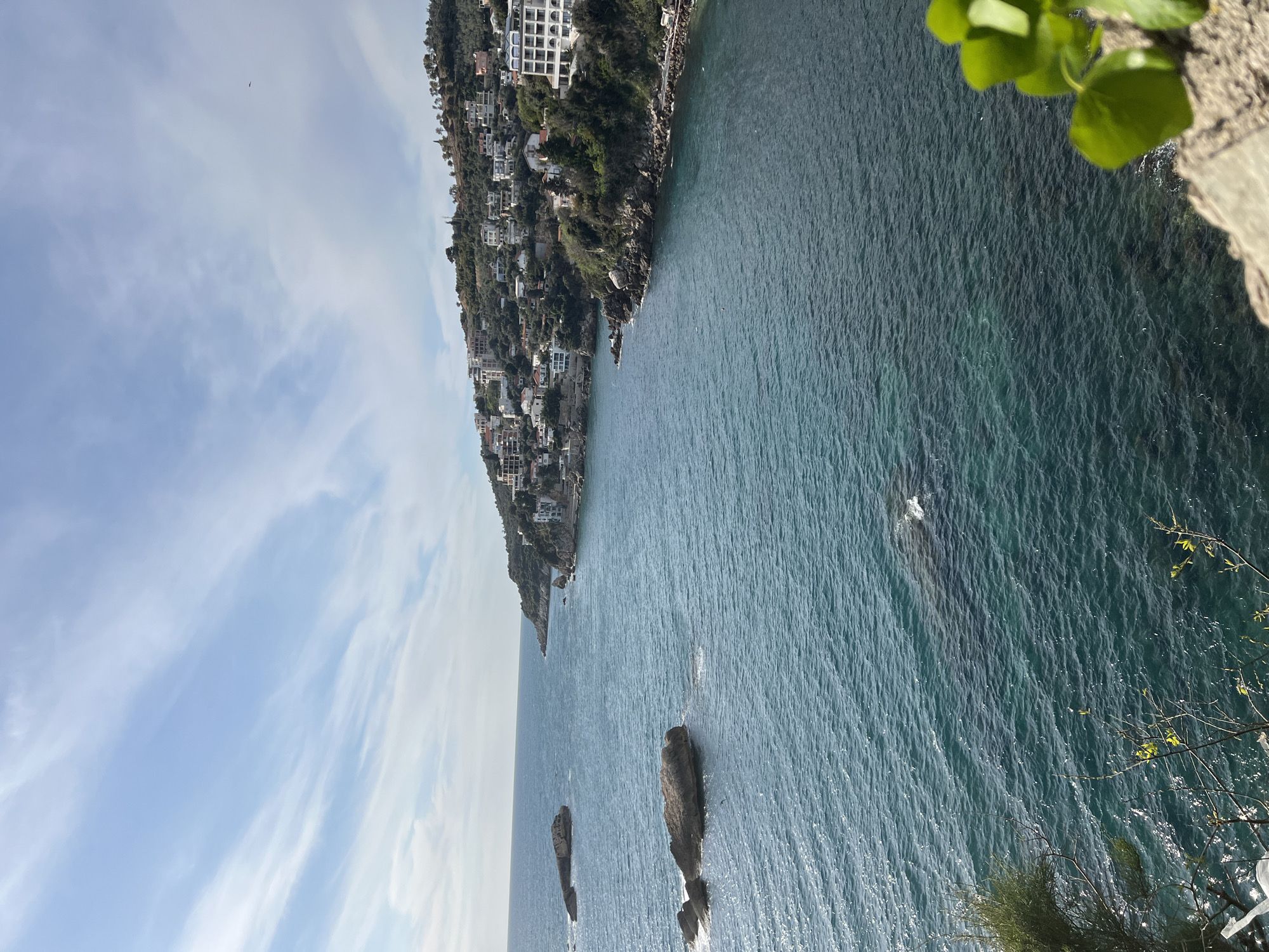 The image depicts a coastal landscape, likely taken in Ulcinj, Montenegro. The sea occupies a large portion of the frame with the color ranging from turquoise to dark blue. A peninsula covered in vegetation and residential buildings extends into the sea. A blue sky with light cirrus clouds is visible in the upper left of the frame. Rocks protrude from the water, and foliage is visible in the right foreground, suggesting a vantage point from a cliff or high ground. A bird is flying in the sky.