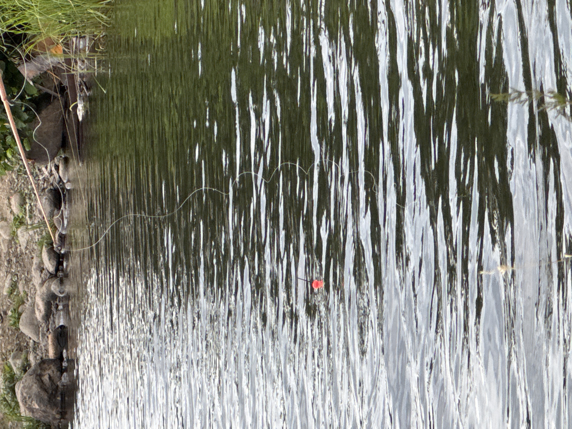 In Toksovo, Russia, a fishing line extends from the bank on the right side of the image, disappearing into the rippling water. A small, bright orange fishing float is visible on the surface of the water, marking the end of the line. The water itself is a mix of dark green and gray, reflecting the surrounding foliage and the sky. The background shows a rocky shoreline with some greenery.