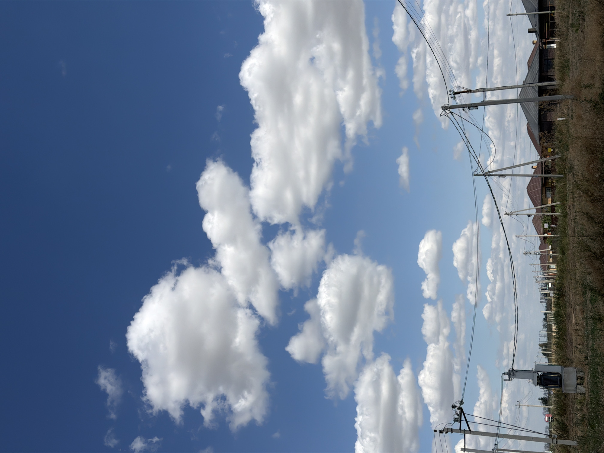 A low-angle, full shot captures a bright, clear sky filled with scattered cumulus clouds above a residential area in Krasnyi Krym, Russia. In the foreground, dry, brown grass and weeds cover the ground, with several utility poles and power lines dominating the middle ground. One pole in the left foreground has a gray electrical transformer box mounted on a concrete base. In the distance, rows of suburban houses with dark, sloped roofs are visible, interspersed with more utility poles. The overall scene suggests a sunny day in a developing or recently built residential neighborhood.