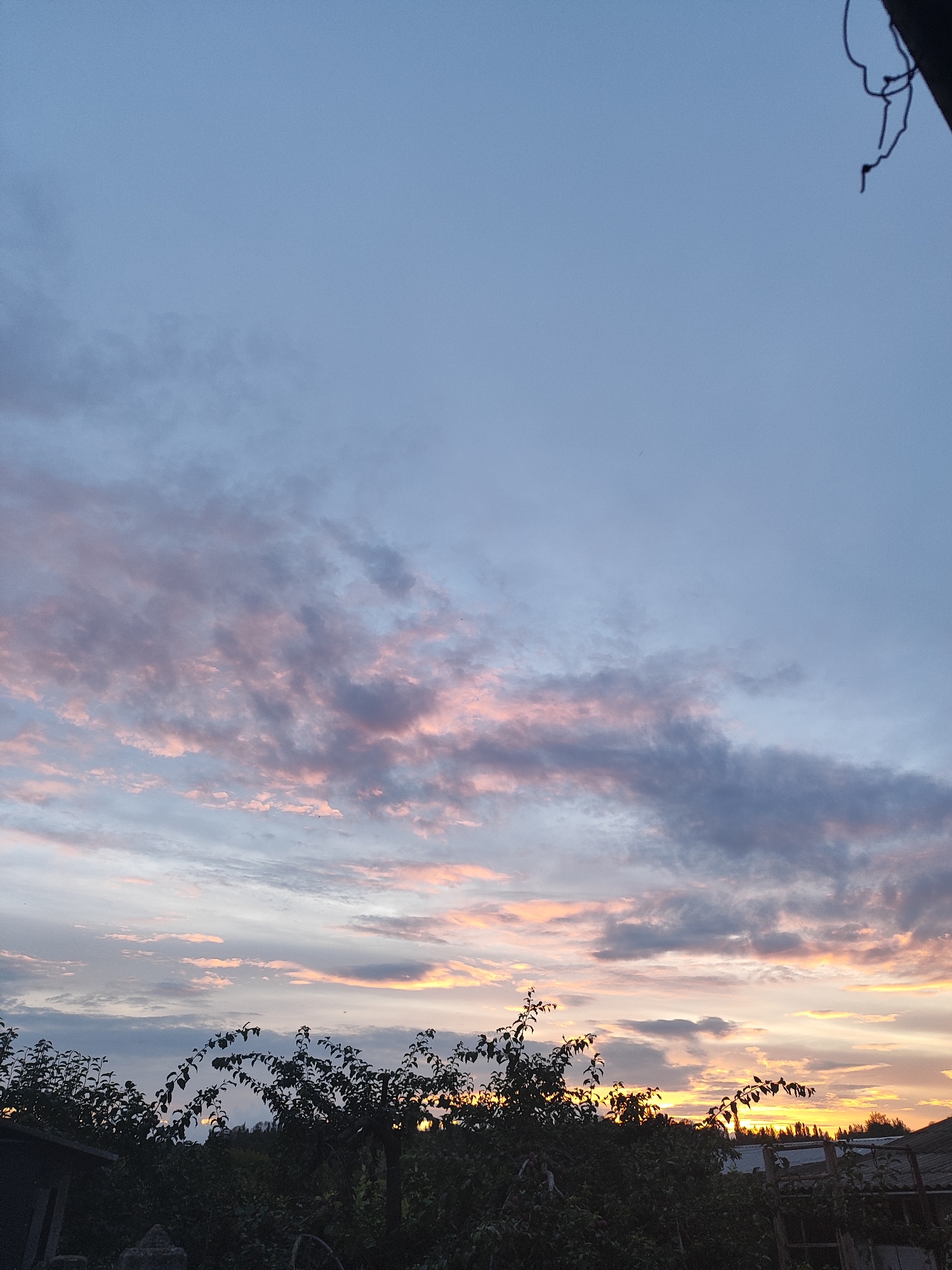 A vertical, low-angle, eye-level shot captures a twilight sky over a rural landscape in Cherneshchyna, Ukraine. The sky is a gradient of pale blue at the top, transitioning to hues of pink and orange near the horizon, illuminated by the setting sun. Scattered clouds are tinged with these warm colors, creating a picturesque scene. Silhouetted against the sky are the dark forms of trees and vegetation, with branches reaching upwards. In the foreground, the dark shapes of buildings and possibly fences are visible, partially obscuring the lower portion of the image. The overall impression is one of peaceful, natural beauty at dusk.