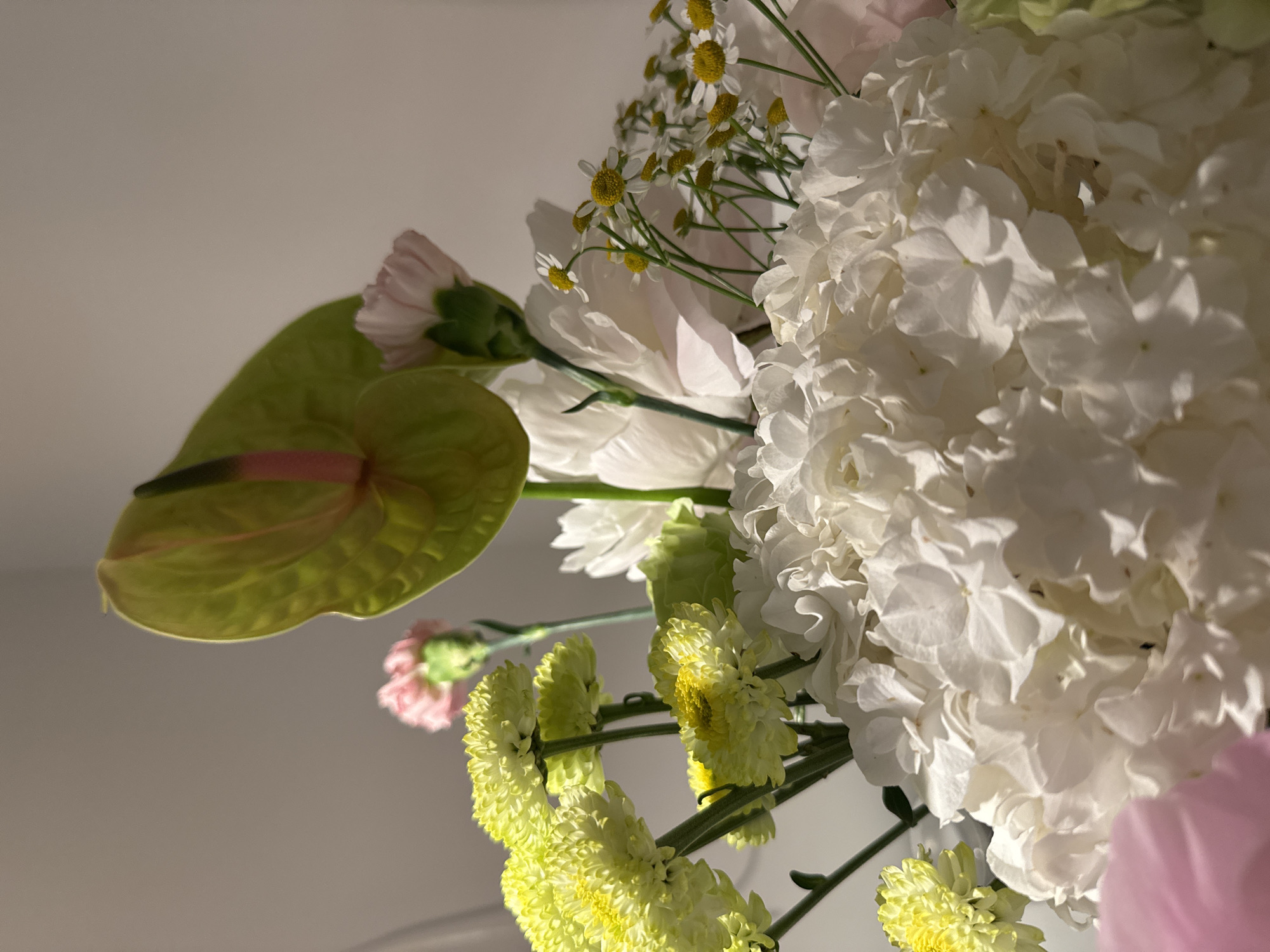 The image displays a close-up of a floral arrangement. Dominating the foreground is a large cluster of white hydrangea blooms, their individual petals intricately detailed. To the left, several bright yellow chrysanthemums with yellow centers are visible, some still partially closed. Behind these, a large, pale green anthurium with pink tinges stands tall. Smaller accents include pale pink carnations and a scattering of tiny white flowers with yellow centers, possibly chamomile, interspersed throughout the bouquet. A soft, diffused light illuminates the scene, casting gentle shadows and highlighting the textures of the petals. The background is a plain, light-colored wall. The floral arrangement is indoors and does not provide any specific information about its location within Бараўлянскі сельскі Савет, Belarus, beyond it being an interior setting.