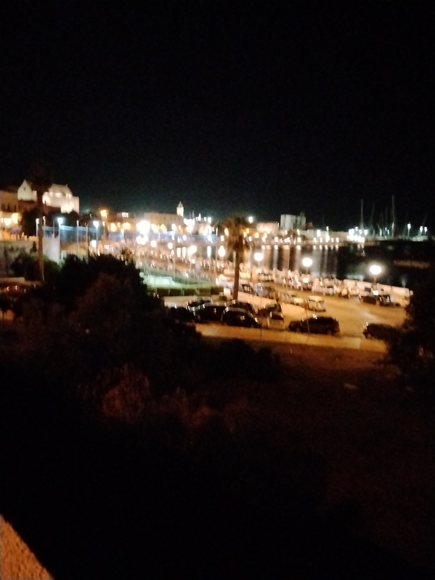 This is a nighttime, long-exposure photograph taken from a slightly elevated position, overlooking a harbor area in Bari, Italy. The scene is dominated by the dark sky and illuminated by artificial lights from buildings and streetlamps. In the foreground, there are dark masses of foliage and a rough, textured surface, possibly a wall or railing.
The middle ground features a parking lot filled with numerous cars, their shapes and colors blurred by the long exposure. A lone palm tree stands to the left of the parking area, illuminated by a nearby streetlight. Beyond the parking lot, a waterfront promenade is visible, lined with buildings and more streetlights. Boats are docked in the harbor, with their masts and rigging silhouetted against the distant lights. The buildings in the background appear to be a mix of residences and commercial establishments, with lights glowing from windows and along the facade. The overall impression is of a lively, urban waterfront scene at night.