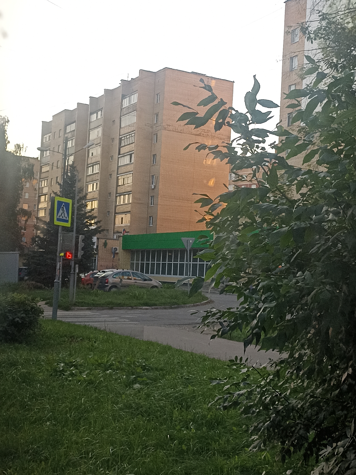 The image shows a street scene in the city of Chekhov, Russia, likely during daylight hours, possibly late afternoon due to the warm lighting. In the foreground, a patch of lush green grass is visible on the left side, extending towards the street. A paved road curves around a grassy area, with a pedestrian crossing marked by white stripes. A street lamp and a traffic light are prominent features. The traffic light displays a red "15", indicating a countdown. To the left of the traffic light is a blue and yellow pedestrian crossing sign. Behind the street features, a multi-story brick building with numerous windows dominates the background. The building appears to be residential or commercial, with some windows reflecting the light. A green-roofed structure with large windows is attached to the building. Several cars are parked or driving in the vicinity of the building and the road. Lush green trees and foliage are interspersed throughout the scene, with a large tree in the foreground on the right, its leaves obscuring part of the view. The overall impression is a typical urban environment with residential buildings and street infrastructure.