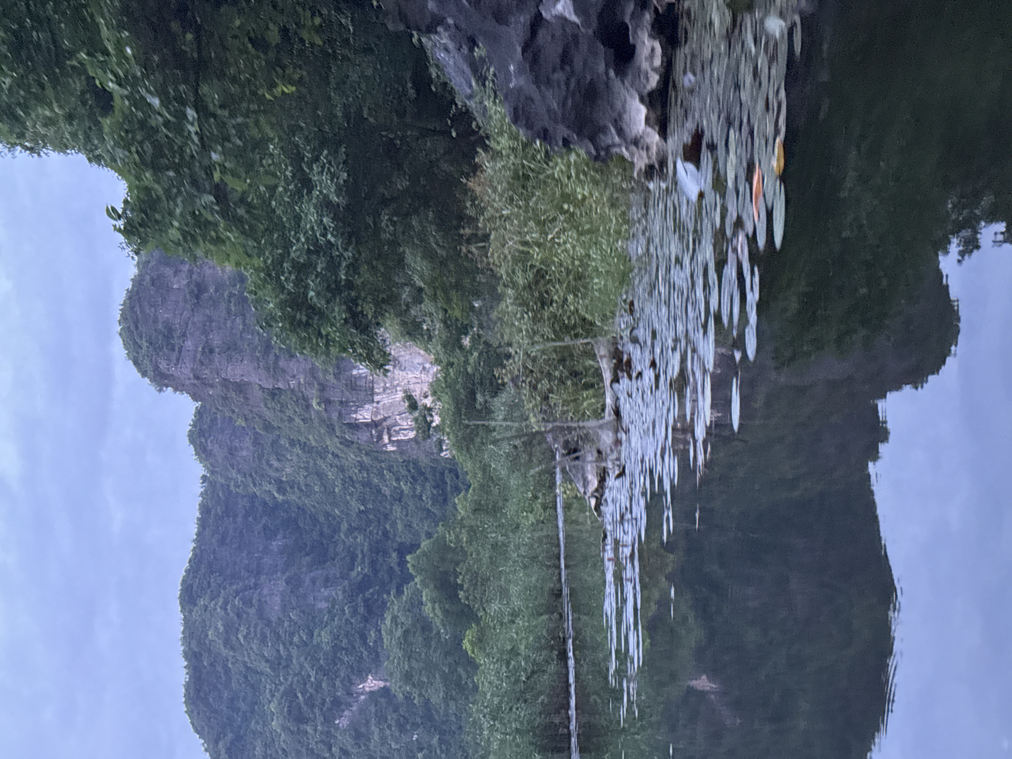 This is a vertical, eye-level shot of a tranquil river scene in Nam Hoa Lư Ward, Vietnam. The water is calm, reflecting the lush green mountains and overcast sky. Lily pads dot the surface of the water, with a couple of colorful fish, possibly koi, swimming among them. The riverbanks are lined with dense vegetation and tall reeds, leading to the imposing, tree-covered limestone karst mountains that dominate the background. The overall mood is serene and natural.