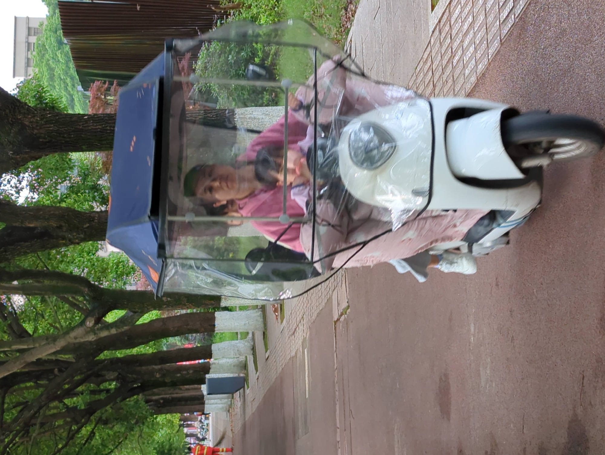 The image, taken in Jiangjin, China, features a woman seated inside a white three-wheeled electric vehicle, commonly known as an e-rickshaw or electric tricycle. The vehicle is fitted with a clear plastic enclosure and a dark blue fabric canopy, suggesting it's designed for weather protection. The woman, an adult with dark hair, is wearing a pink long-sleeved top and a dark baseball cap, and she is looking forward, possibly at the camera or straight ahead.
The vehicle is positioned on a reddish-brown paved path, which could be a sidewalk or a park pathway. The surrounding environment is characterized by abundant green foliage from several large trees with robust trunks and branches. Alongside the path, there are low stone or concrete structures that resemble benches or decorative barriers. In the background, a building with multiple stories and a fence-like structure are visible through the trees.
The scene takes place during the daytime, under soft, diffused lighting conditions, suggesting an overcast day or perhaps early morning or late afternoon. The activity depicted is the woman either driving or waiting in the vehicle. No discernible text is visible anywhere in the image.
