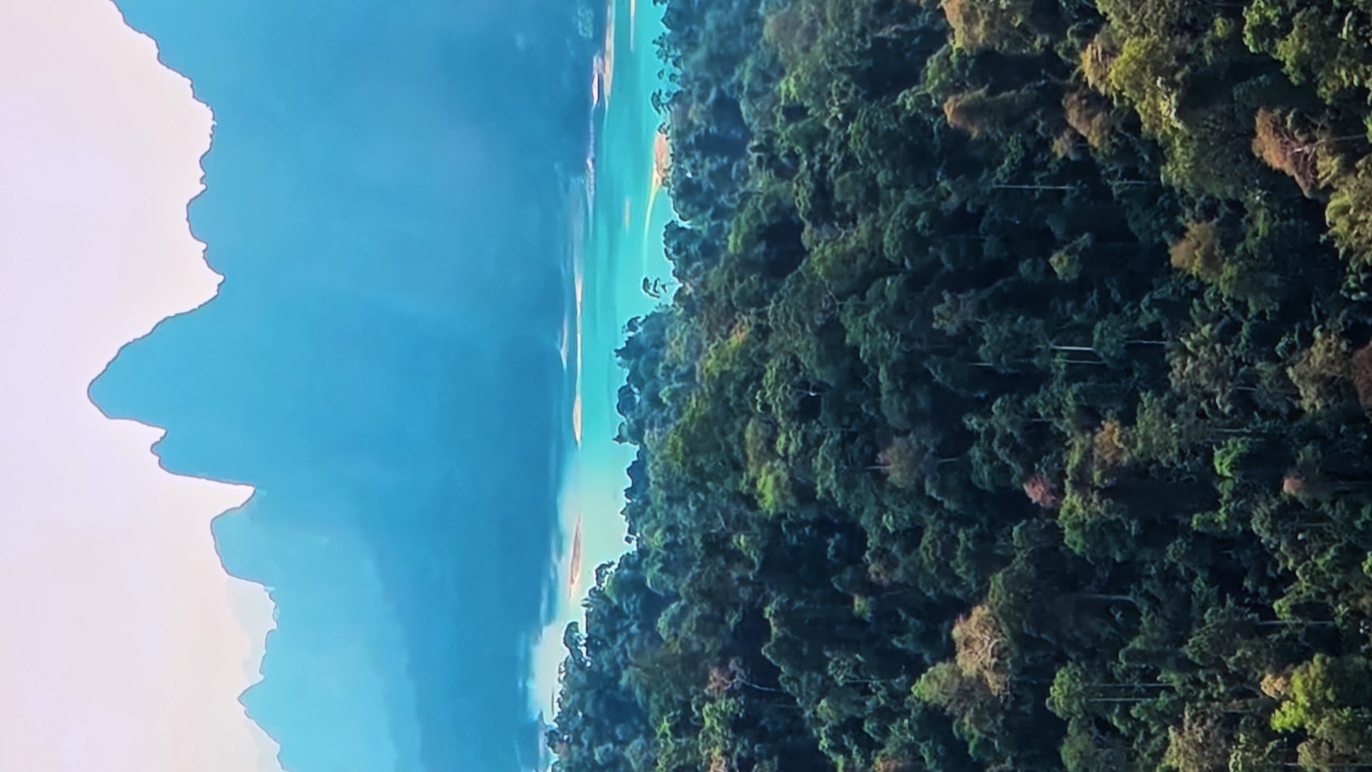 The image depicts a lush, dense forest with a vibrant turquoise body of water in the distance, framed by misty, blue-hued mountains. The forest canopy is varied, with different shades of green and occasional patches of brown and yellow foliage, suggesting a diverse ecosystem. Tall trees with distinct vertical trunks emerge from the undergrowth, creating a textured and layered appearance. The water is calm and reflects the surrounding landscape and sky, with lighter, sandy patches visible along its edges. The mountains in the background are silhouetted against a bright, pale sky, their jagged peaks softened by atmospheric haze. There are no people or man-made structures visible in the image. The scene suggests a remote, natural landscape, likely a tropical or subtropical region known for its dense forests and clear waters. This particular scene is not located in Batumi, Georgia, as Batumi is a coastal city known for its Black Sea beaches and botanical gardens, not for the type of mountainous jungle landscape depicted.