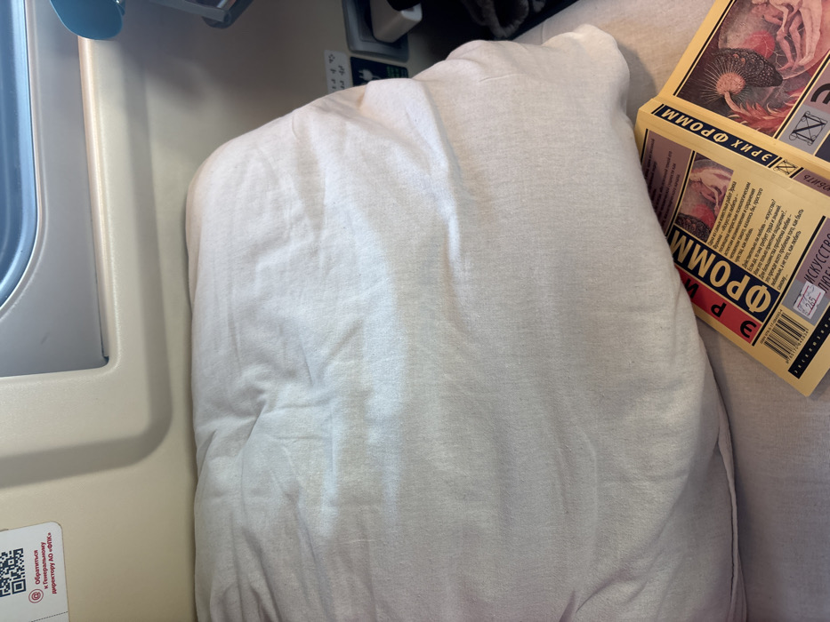 The image captures the interior of a Russian train compartment, ostensibly located within the city of Krasnoufimsk, Russia. The scene primarily features a rumpled, light beige or off-white pillow occupying the majority of the frame, resting on a matching light-colored surface, likely a seat or bed. In the lower right foreground, two books with yellow covers are partially visible, tucked beneath the pillow. Both books prominently display the author's name in red and black text as "ЭРИХ ФРОММ" (Erich Fromm). One book's title, partially obscured, appears to be "ИСКУССТВО ЛЮБИТЬ" (The Art of Loving), and its cover includes a barcode and a price sticker indicating "265".
The background reveals a light beige train wall paneling. A window is visible in the upper right, showing a blurred blue and white outdoor scene, indicative of movement. Below the window, a power outlet equipped with two ports (one appearing to be a USB-A and another a standard socket) has a white charger plugged into it. In the upper left corner, a white sticker with a black QR code and Russian text is affixed to the wall. The text reads "Обратиться к Генеральному директору АО «ФПК»" (Contact the General Director of JSC 'FPK'), identifying the rail carrier. No individuals, specific actions, or interactions are depicted within the static scene.