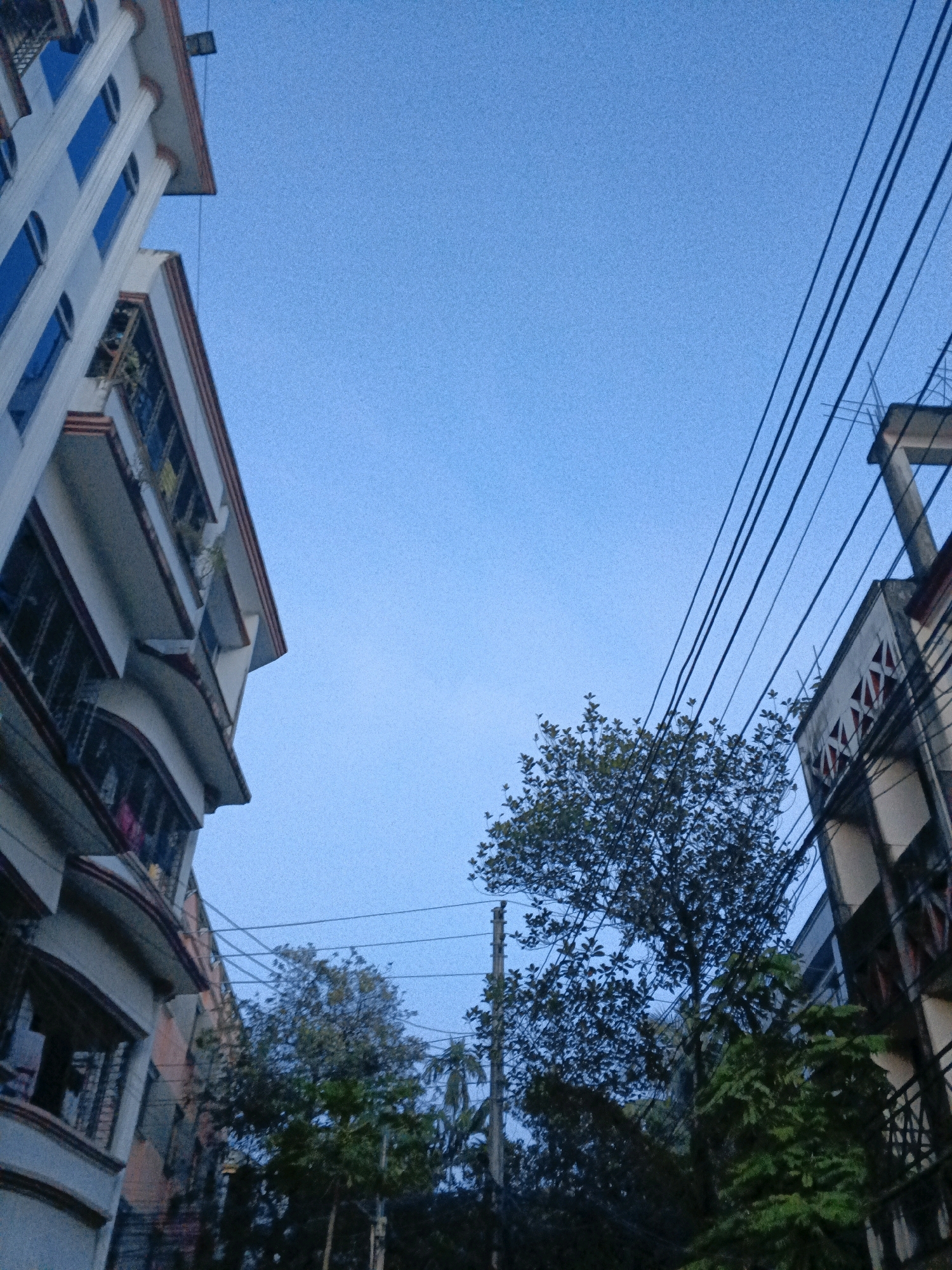 The image depicts a view from a street level looking upwards towards a clear blue sky. On the left side of the frame, a tall, multi-story building with white walls, red trim, and blue-tinted windows is prominently visible, angled towards the viewer. The building has several balconies with visible railings and some laundry hanging out. On the right side of the frame, another building with a similar architectural style, featuring white walls and decorative red and black patterns on its facade, is partially visible. A series of black electrical wires stretch diagonally across the sky from the right side of the image towards the left, obscuring parts of the sky and the buildings. In the middle ground, several trees with dense foliage are scattered, with one particularly large tree in the center of the frame, its branches reaching upwards. The overall impression is of an urban environment in Sylhet, Bangladesh, likely taken during daylight hours or twilight, given the clear sky and ambient light. There are no visible people or specific actions taking place.