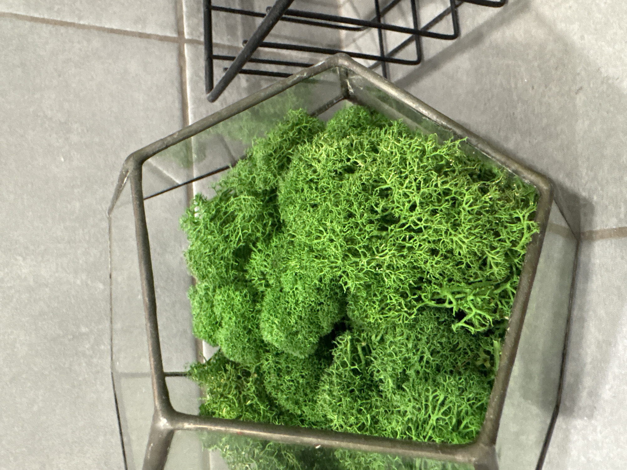 The image displays a close-up of a decorative, geometric glass terrarium containing bright green preserved moss. The terrarium features a dark, possibly bronze or oxidized metal frame that outlines its polygonal shape. Inside, the vibrant green moss, likely reindeer moss, fills the container, showcasing its intricate, branching, and spongy texture.
The terrarium is positioned against a light grey tiled wall, with visible grout lines suggesting an indoor setting. A black wire rack or shelf is partially visible in the upper portion of the frame, hinting at its placement on a wall or a shelving unit.
No activity is taking place; the image captures a static decorative arrangement. The lighting is diffused and even, indicating an indoor environment without harsh shadows, and no specific time of day can be determined. There is no visible text. The overall scene suggests a contemporary interior decor item in Izhevsk, Russia.