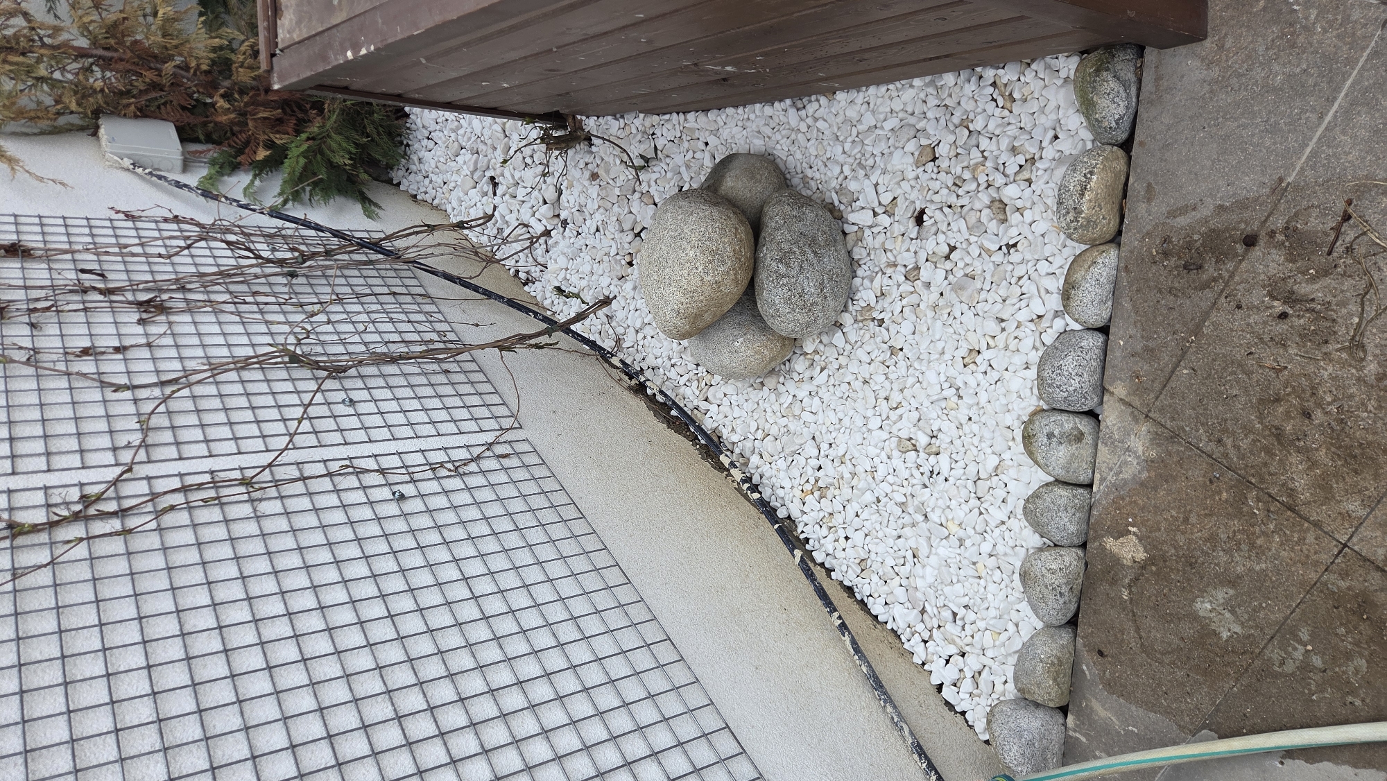 The image displays an outdoor landscaping scene, viewed from an overhead perspective. The ground is largely covered with small, white decorative gravel stones in the central and right portions of the frame. Adjacent to the gravel, a row of larger, rounded grey river stones forms a border, separating the gravel from a darker, possibly concrete or stone, paved area on the far right.
Towards the top right, a wooden structure, appearing to be the underside of a deck or raised planter, overhangs the gravel area. Beneath this wooden structure and extending into the top left, there are brown and green conifer-like branches, some appearing dry or dormant.
On the left side of the image, a light grey or white concrete wall is visible, with a metal mesh grid attached to it. Thin, bare branches or vines, some with small green buds, are trained across this mesh, suggesting it's a trellis for climbing plants. A dark cable or hose runs along the base of the concrete wall, separating it from the gravel area. Another light green hose is partially visible in the bottom right corner of the frame. Four larger, smooth grey stones are piled together in the middle of the white gravel area, below the wooden structure.
The scene appears to be a section of a garden or yard, possibly a well-maintained border or planting area. It is daytime, with soft, even lighting, suggesting an overcast day or diffused light. No people are present. There is no visible text in the image.