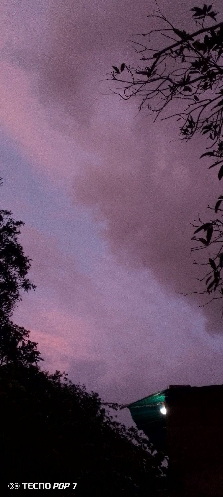 The image depicts a dusky sky with hues of purple and pink, indicating either twilight or a cloudy sunset. Silhouetted against this sky are the bare branches of a tree on the right side and the dark foliage of trees and vegetation on the left. In the lower right portion of the image, a dark structure, possibly a rooftop, is visible with a bright, glowing light bulb illuminating a green surface, likely part of an awning or shelter. The bottom left corner of the image contains the text "TECNO POP 7" in white, suggesting it is a watermark from a mobile device. The scene appears to be an outdoor environment, possibly residential, given the presence of a rooftop and lighting. There are no people or visible actions taking place in the image. The overall impression is one of a peaceful, slightly moody evening in a semi-urban or rural setting.
