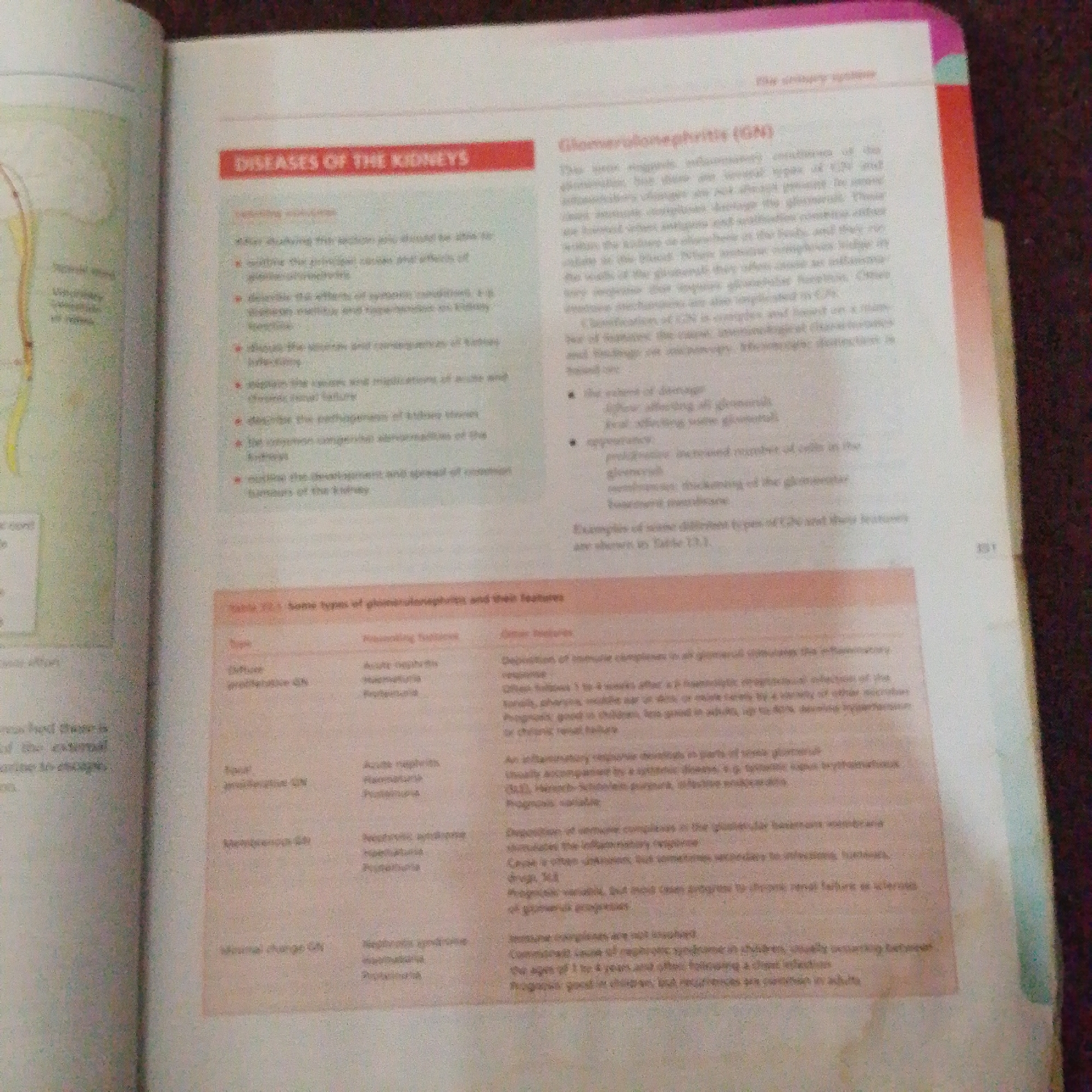 The image displays two pages of a textbook discussing diseases of the kidneys, specifically focusing on glomerulonephritis. The left page features a diagram of the urinary system and a list of learning objectives related to kidney diseases. The right page contains a heading for "Glomerulonephritis (GN)" and a detailed explanation of the condition, including its causes, symptoms, and classifications. Below this text, there is a table titled "Table 13.1 Some types of glomerulonephritis and their features," which categorizes different types of GN, their presenting features, and clinical features. The text and diagrams are presented in a standard textbook format, with headings, bullet points, and a table. There are no elements in the image that suggest a location in Jalingo, Nigeria.