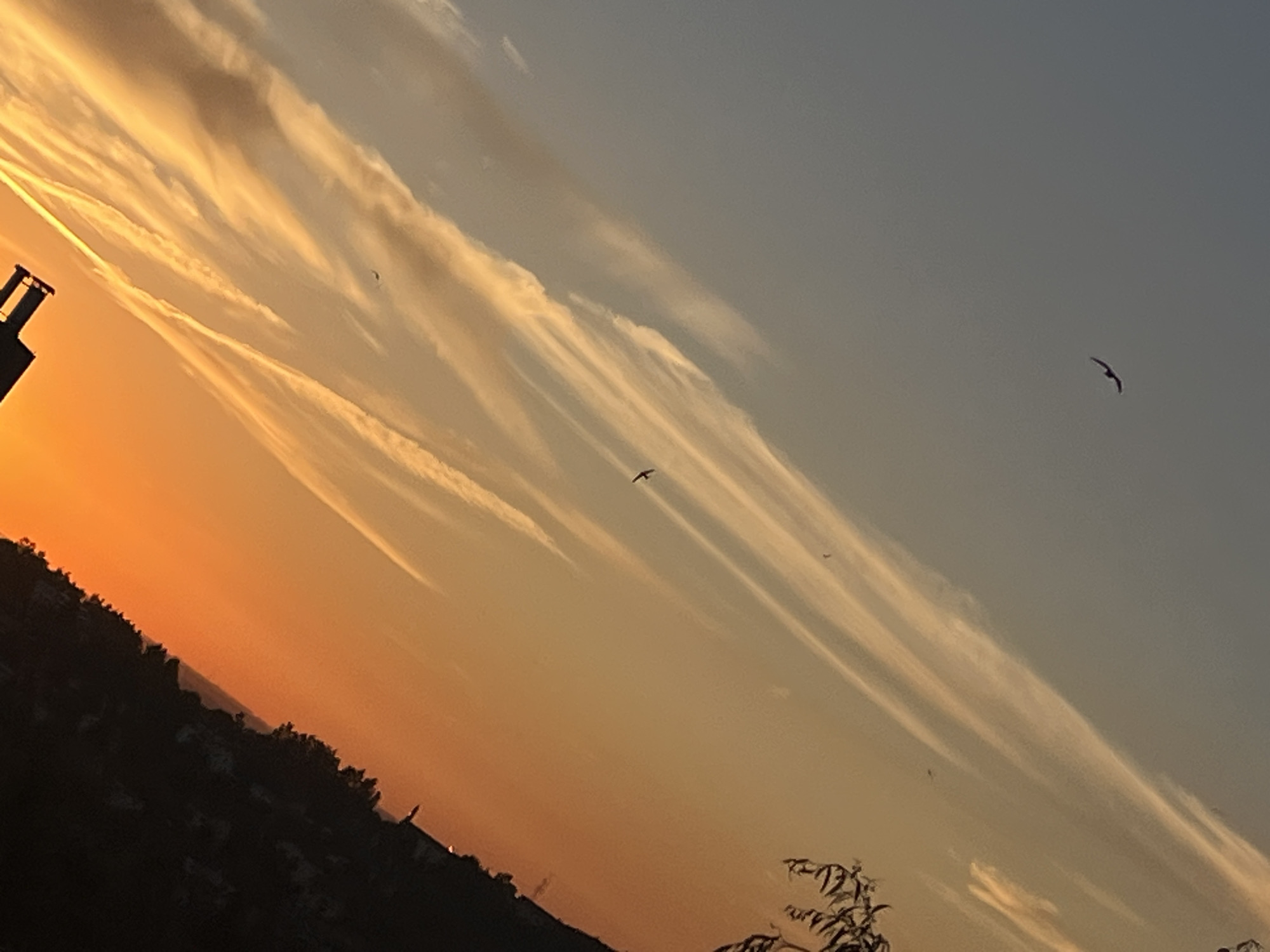 A high-angle, tilted, full shot captures a sunset scene with a gradient of colors in the sky. The upper portion of the sky is a light blue, transitioning to orange and yellow as it moves towards the bottom of the frame. Wispy clouds stretch diagonally across the sky, catching the warm light of the setting sun. Silhouettes of birds can be seen in flight against the colorful sky. The lower right of the image is dominated by the dark silhouette of a hill or buildings, with faint lights visible on top, suggesting an urban or suburban landscape. A dark, angular structure, possibly a chimney or part of a building, is visible in the lower left corner. The overall impression is one of a serene evening as the day ends.