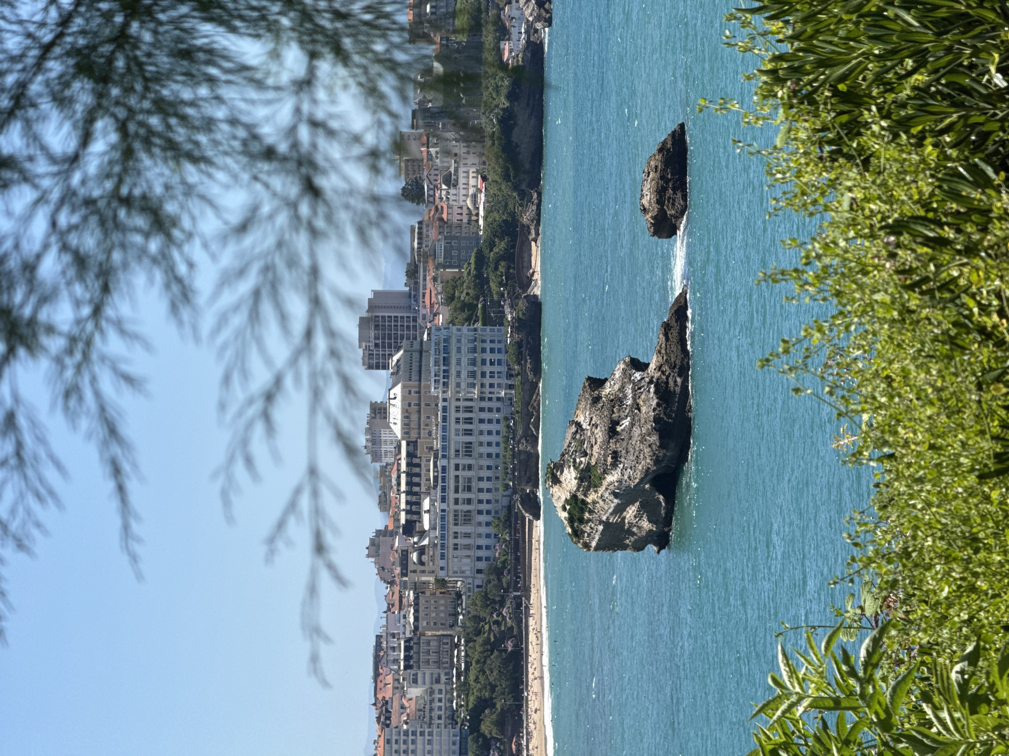 The image depicts a scenic view of the city of Biarritz, France, with a focus on its coastal landscape. In the foreground, lush green foliage, likely from bushes or trees, partially obscures the view. Beyond the foliage, the turquoise waters of the ocean stretch out, dotted with several large rocks and islets, the most prominent of which is a substantial rock formation with a textured surface in the center of the frame.
In the middle ground, a sandy beach is visible, populated by numerous people enjoying the sunny weather. Beyond the beach, a line of buildings, characteristic of coastal European architecture, forms the city's skyline. These buildings vary in height and style, with a large, white multi-story hotel standing out prominently. The city's buildings are set against a backdrop of hills and a clear, bright blue sky. The overall scene captures a vibrant coastal resort town on a clear day.