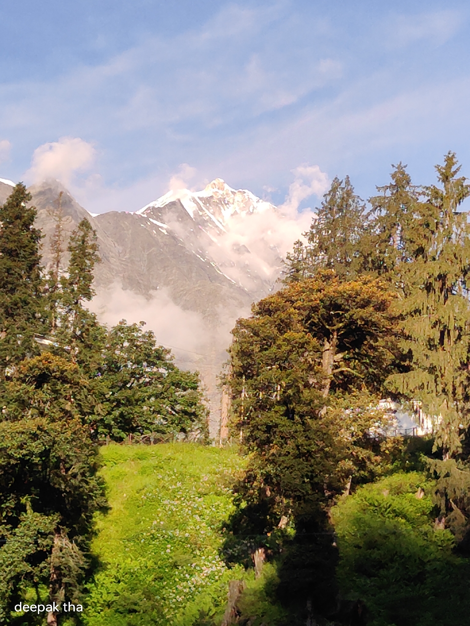A vertical medium shot captures a serene mountain landscape in Burwa, India. The sky is a gentle blue with wisps of white clouds. Dominating the upper half of the frame is a majestic snow-capped mountain range, its peaks partially obscured by soft, ethereal mist. In the foreground, a lush green hillside slopes upwards, dotted with small white wildflowers. Dense evergreen trees and deciduous trees with auburn foliage frame the scene, creating a layered effect. The lower left corner of the image displays the text "deepak tha". The overall impression is one of natural beauty and tranquility.